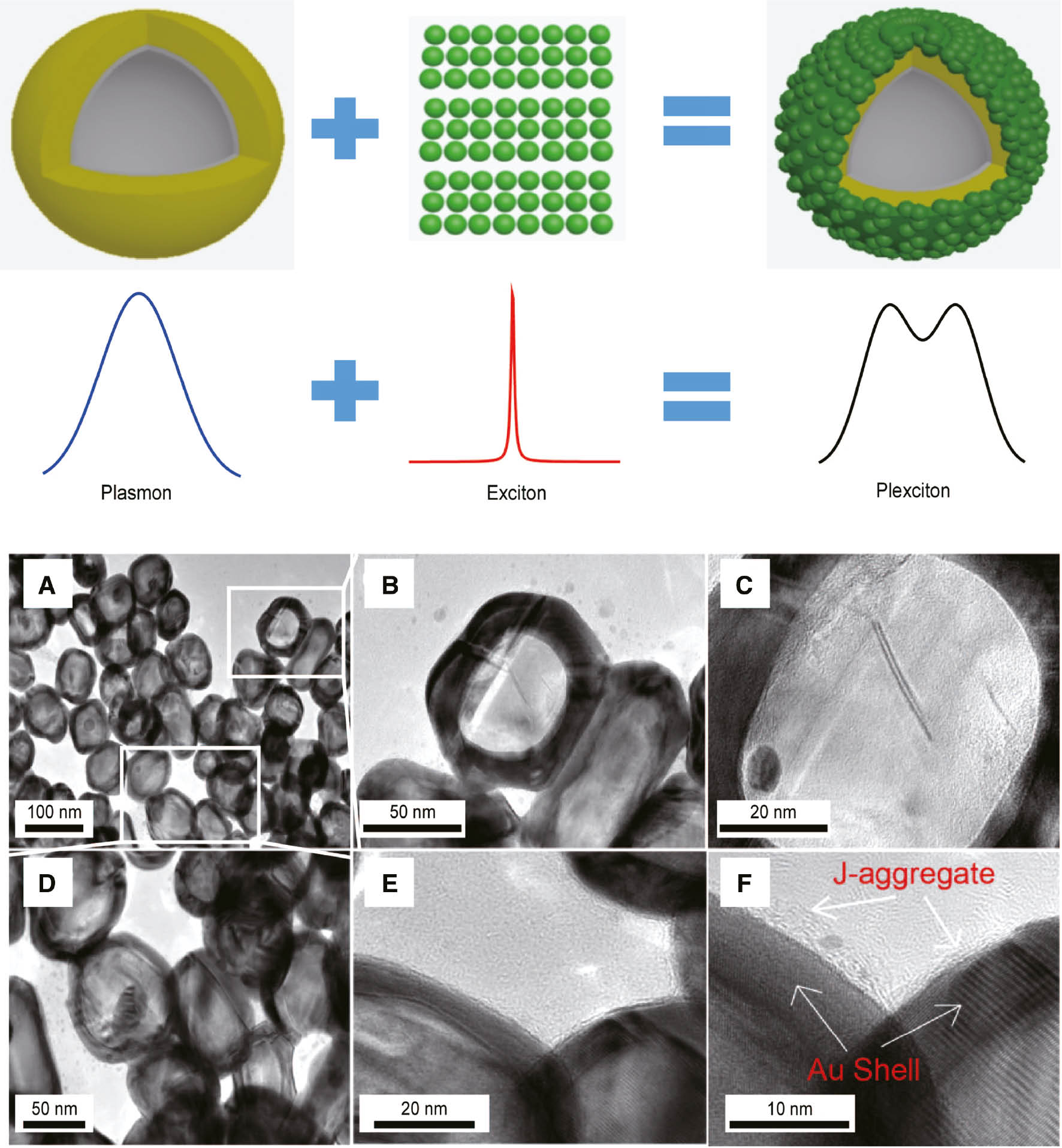 Figure 1: Above, schematic diagram of the hybrid and related Rabi-splitting of an Ag@Au hollow nanoshell embedded in an ensemble of J-aggregate [the pristine monomer molecule is 1,1′-diethyl-2,2′-cyanine iodide (Cy+)].Below, TEM images of the Ag@Au hollow nanoshell-J-aggregate plexciton system at different magnifications, which corresponds to curves j in Figure 2B, are shown below. The corresponding LSP peak of the bare Ag@Au HNS is at 661 nm. The average diameter of the bare Ag@Au HNS is 80 nm; the diameter of the inner hollow cavity is 60 nm. (A) TEM images of the Ag@Au hollow nanoshell-J-aggregate plexciton system with scale bar 100 nm; (B) and (C) are enlargement of rectangle part shown in (A) with scale bars as 50 nm, 20 nm respectively; (D) and (E), (F) are enlargement of another rectangle part shown in (A) with scale bars as 50 nm, 20 nm, 10 nm respectively; Especially, J-aggregate and Au shell are clearly distinguished in (F).