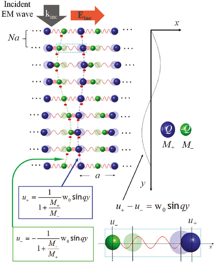 Figure 5: The transverse PhP wave.The displacement of the ions is along the electric field of the impinging EM wave and perpendicular to the propagation direction, y. Because this is a slow-varying wave in the atomic scale, the ions along the y-direction are depicted only every N lattice planes, with N being of the order of a 1000 atoms or more. The displacements of the positive and negative ions are always out-of-phase (optical-phonon mode) with a respective ratio of −M−/M+ in the absence of damping. This out-of-phase phonon mode is activated by an impinging IR EM wave that displaces the two oppositely-charged ions in opposite directions; hence this mode is also known as IR-active optical phonon.