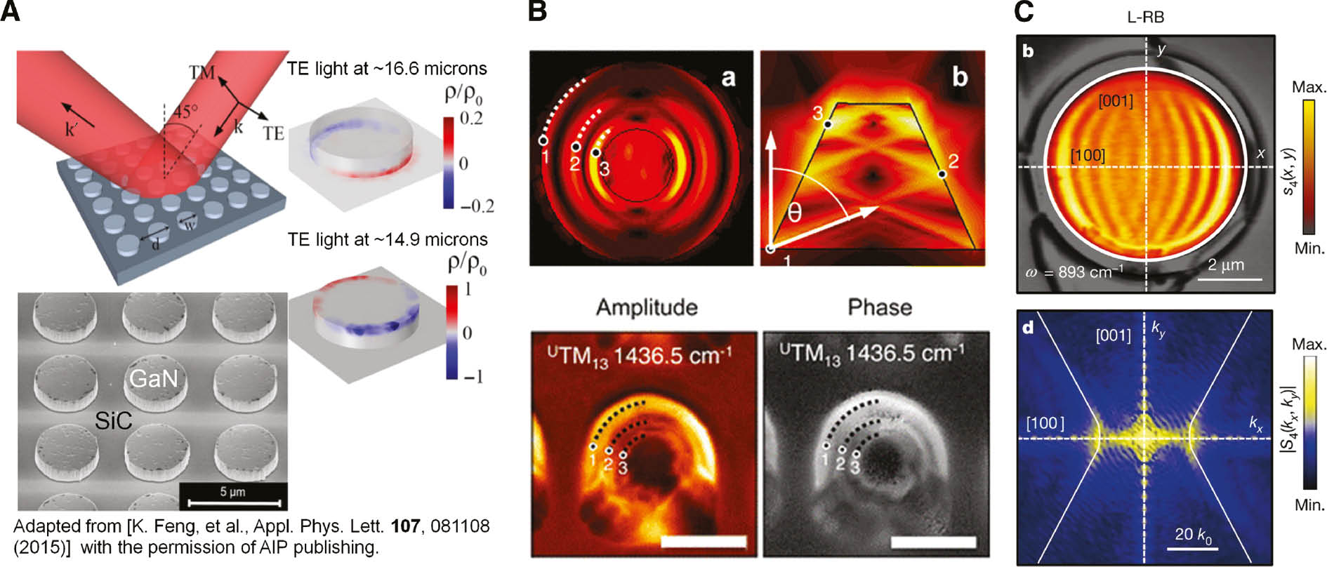 Figure 21: Experimentally observed particle PhPs.(A) LSPhPs [Type A ordinary (O) particle PhPs] in GaN microdisks resting on a SiC substrate. The two dipolar modes depicted are excited at different free-space wavelengths and have enhanced fields at the top or bottom of the microdisk, respectively. This is because of the different corresponding dielectric environments affecting the resonance conditions. (Adapted from [224] with the permission of AIP publishing, see link at https://aip.scitation.org/doi/10.1063/1.4929502.) (B) EO particle PhPs at hBN sub-micron cones observed at: 7 μm. The unconventional photonic interference inside the hBN nanocone (top panels) stemming from hBN’s hyperbolic dispersion yields characteristic hot rings on its surface at deep-subwavelength distances, which were experimentally observed with s-SNOM (bottom images) (scale bars are 300 nm). [Reprinted (adapted) with permission from [113]. Copyright 2016 American Chemical Society.] (C) EO particle PhPs at an α-MoO3 microdisk at: ~11 μm. The observed deep-subwavelength fringe pattern (top panel) comes from the underlying indefinite biaxial permittivity response. The associated unconventional photonic dispersion (similar to the one of Figure 16) manifests itself in the associated Fourier transform (bottom panel). (Reprinted by permission from Springer Nature Customer Service Centre GmbH: Springer Nature-Nature [132]. Copyright 2018.)