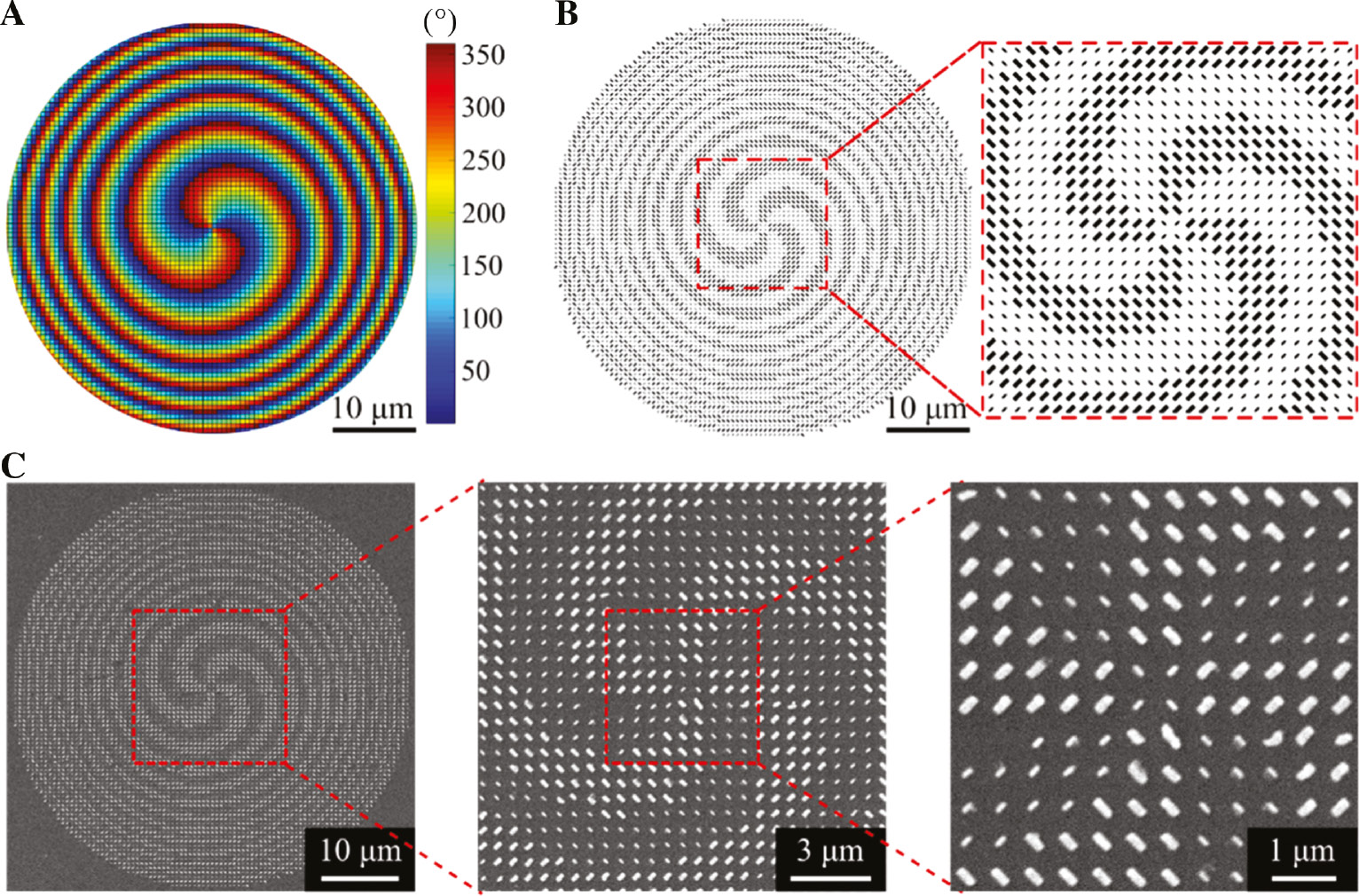 Figure 3: Design and fabrication of the focused vortex-beam generator with a diameter of D=50 μm, a focal length of f=60 μm, and the topological charge of l=2 at λd=850 nm.(A, B) Calculate phase profile and designed geometry of the metasurface. (C) SEM images of the fabricated sample.
