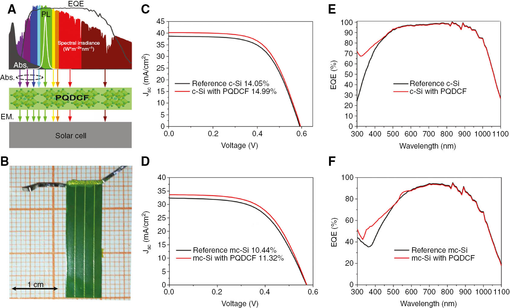 Figure 3: Photovoltaic performance of c-Si and mc-Si SCs with and without PQDCFs.(A) Schematic diagram of PQDCF to enhance the PCE of SCs. (B) Photograph of PQDCF coated on the silicon SC. (C, D) J-V curves of c-Si and mc-Si SCs coated with and without PQDCFs at scan speed 10 mV s−1. (E, F) EQE curves of c-Si and mc-Si SCs coated with and without PQDCFs.