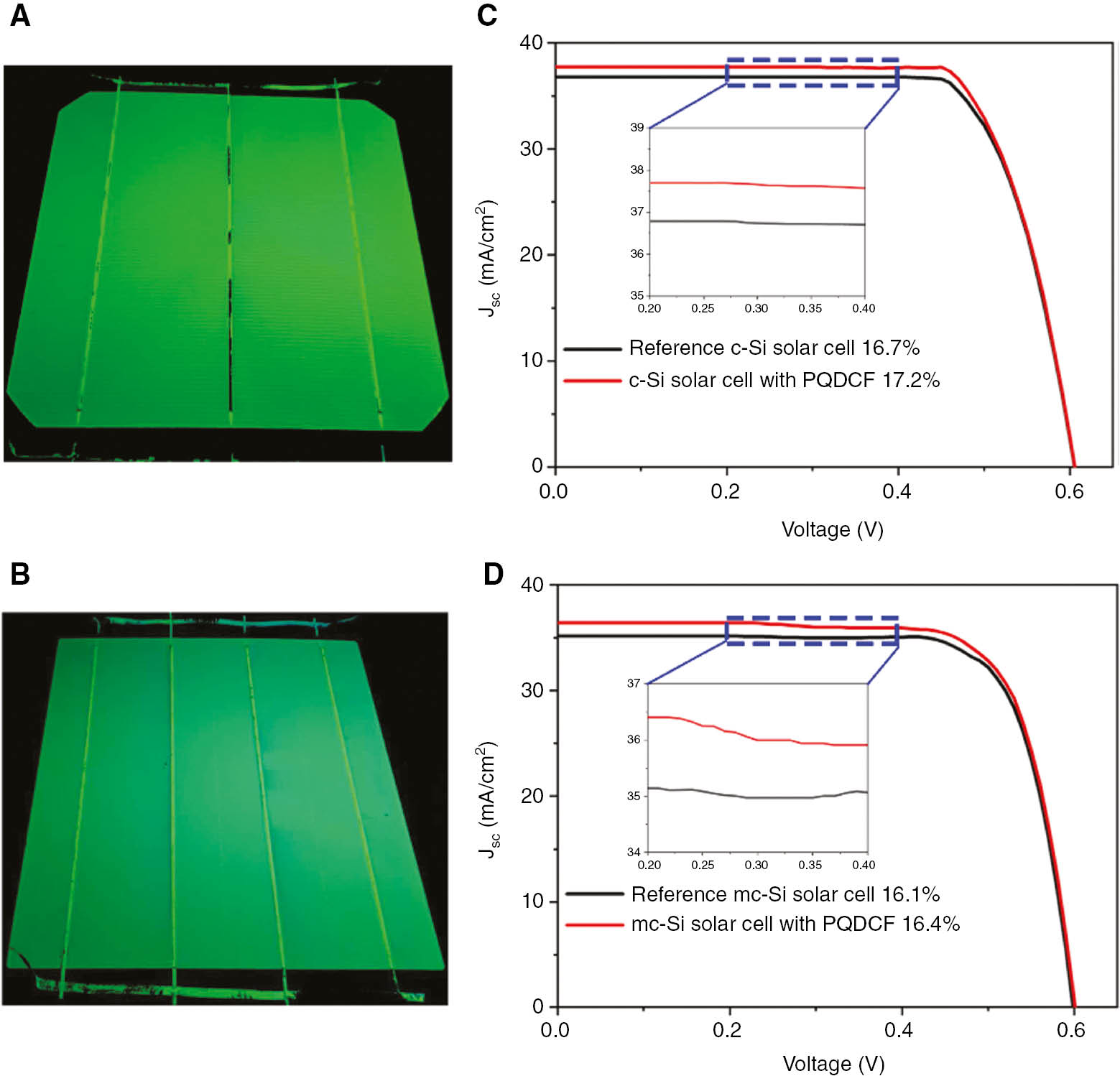Figure 4: Photovoltaic performance of standard commercial c-Si and mc-Si SCs with and without PQDCFs.(A, B) Photographs of PQDCFs coated on standard commercial c-Si and mc-Si SCs under UV irradiation. (C, D) J-V curves of standard commercial c-Si and mc-Si SCs coated with and without PQDCFs with scan speed 10 mV s−1.