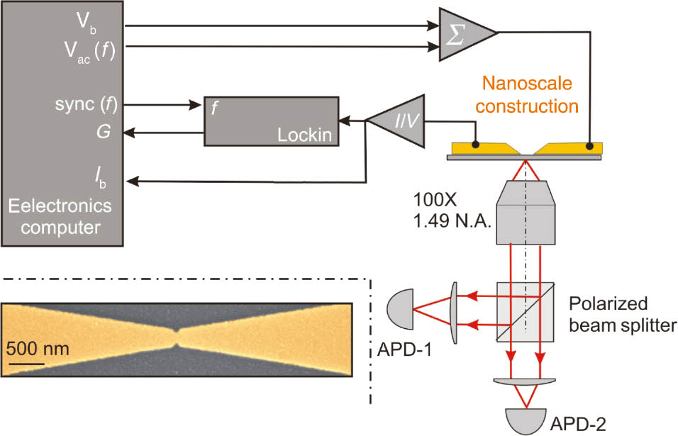 Figure 1: Experimental setup used for measuring simultaneously electron transport and light emission during the electromigration of a Au constriction shown in the inset.The electromigration is facilitated by controlling the voltage applied to the constriction. The latter is the sum of a d.c. contribution (Vb) and an a.c. one (Vac) oscillating at a frequency f. A current-to-voltage converter (I/V) provides a measure of the current flowing in the constriction (Ib). The conductance (G) of the device is extracted by lock-in detection at f, and the photons are collected by a high-numerical-aperture objective and measured with two cross-polarized avalanche photodiodes (APD-1, APD-2).