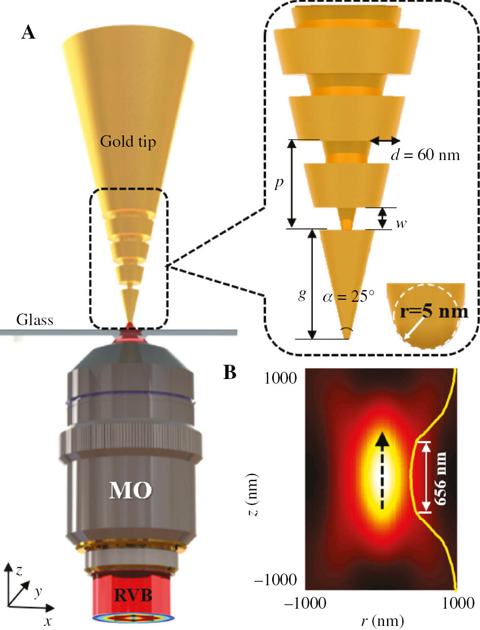 Figure 1: Calculation model of plasmonic tip nanofocusing.(A) Sketch map of the grating-assisted coupling tip nanofocusing axially excited via the tightly focused RVB. Inset is the enlargement of the tip with geometric parameters. (B) Normalized longitudinal electric field intensity distribution of the tightly focused RPB in the r-z plane (NA=0.9, λ=633 nm).