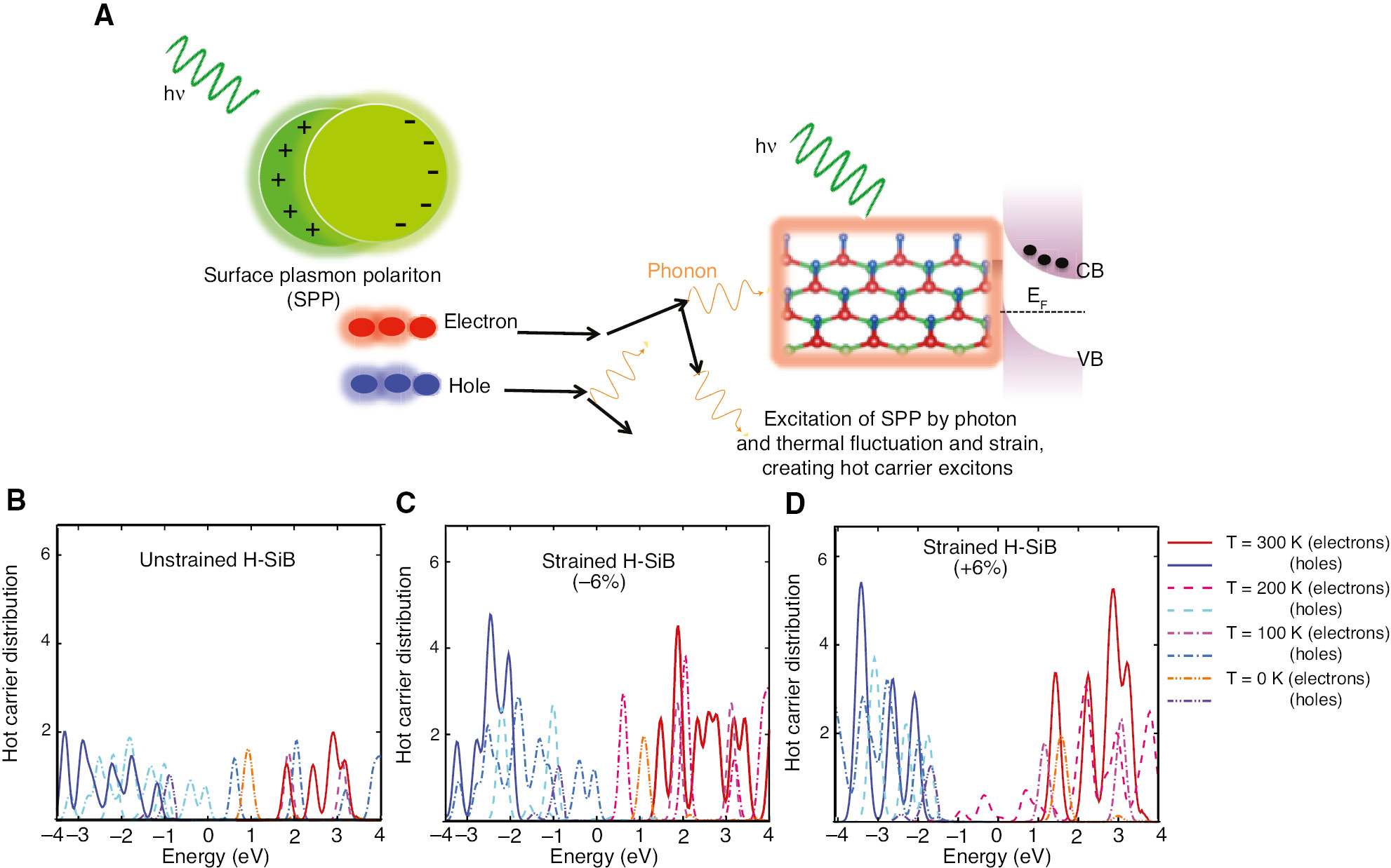 Figure 12: (A) Schematic of an H-SiB semiconductor under illumination, showing a polarization of SP and excited SPP and the decay of an SPP to an exciton (pair of hot electron and hole. (B) The HC distribution (red color represents electron, and blue color represents hole) of unstrained and strained H-SiB at different temperatures.