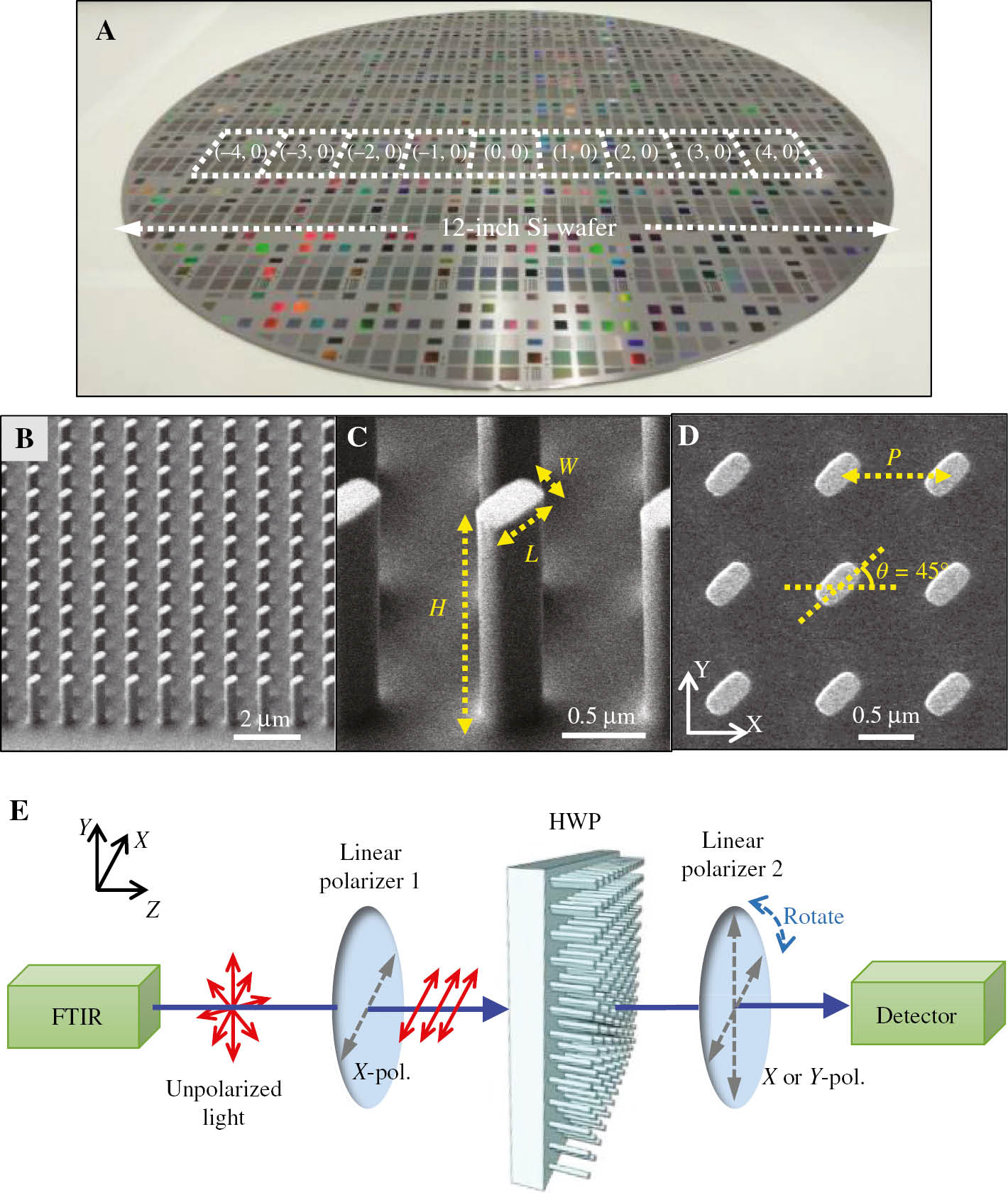 Figure 3: Fabrication results and characterization setup of the Si metasurface-based HWP.(A) Photograph of the fabricated 12-inch Si metasurface wafer. The white dashed squares highlight nine of the selected dies at different wafer locations for optical characterizations. (B) Tilted-view SEM image of the Si pillar array at D(0,0). (C) Zoomed-in view of a single Si pillar. (D) Top view of the Si pillars. (E) Schematic of the optical characterization system used for HWP measurement. The system comprises an FTIR source, two linear polarizers, and one photodetector.