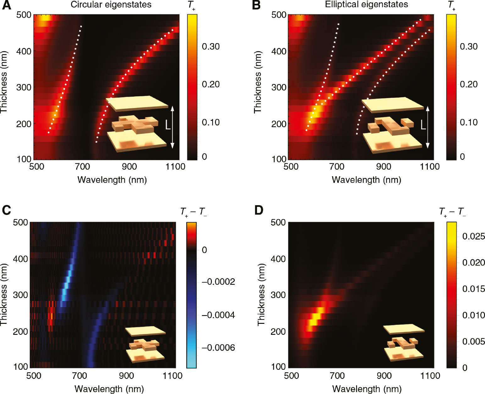 Figure 5: Effect of particle anisotropy on the mode splitting and anti-crossing under illumination with circularly polarized light.(A) Transmission spectra through an array of Au gammadions with 125 nm period placed inside the middle of an empty Fabry-Pérot cavity formed by two 20 nm thick Au mirrors as a function of the cavity thickness. Dashed lines are guides for the eye marking approximate dispersion of polariton modes. (B) The same as (A) but for an array of gammadions with removed central bar. (C) Differential transmission spectra through an array of C4,z symmetric Au gammadions with 125 nm period placed inside the middle of an empty Fabry-Pérot cavity formed by two 20 nm thick Au mirrors as a function of the cavity thickness. (D) The same as (c) but for an array of gammadions with removed central bar yielding only C2,z symmetry. Note the two orders of magnitude difference in values.