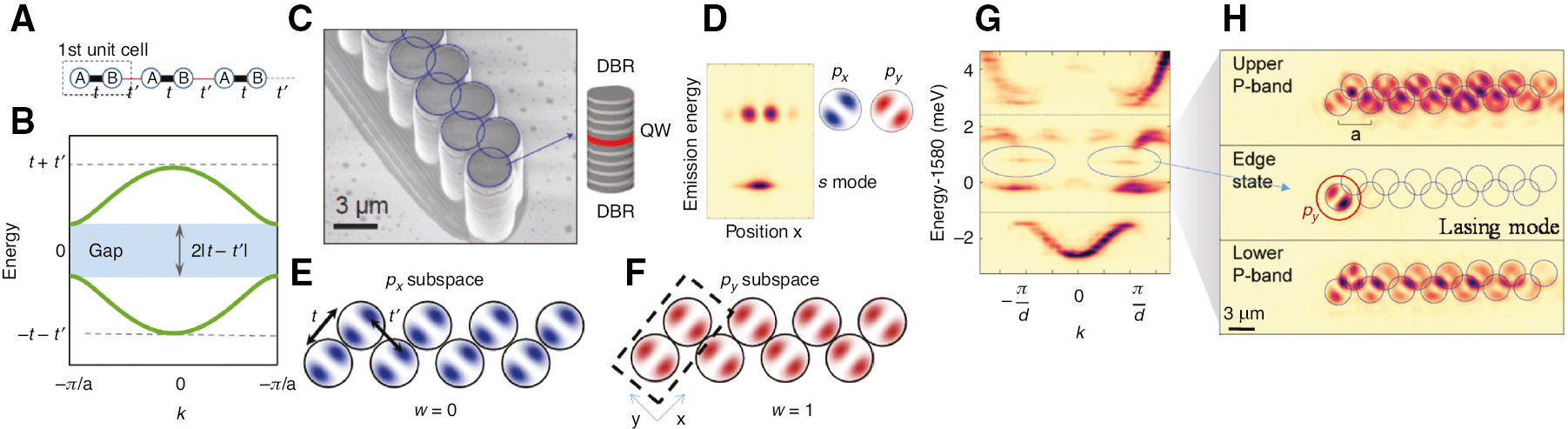 Active topological photonics