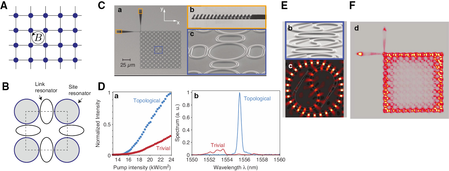 Active topological photonics