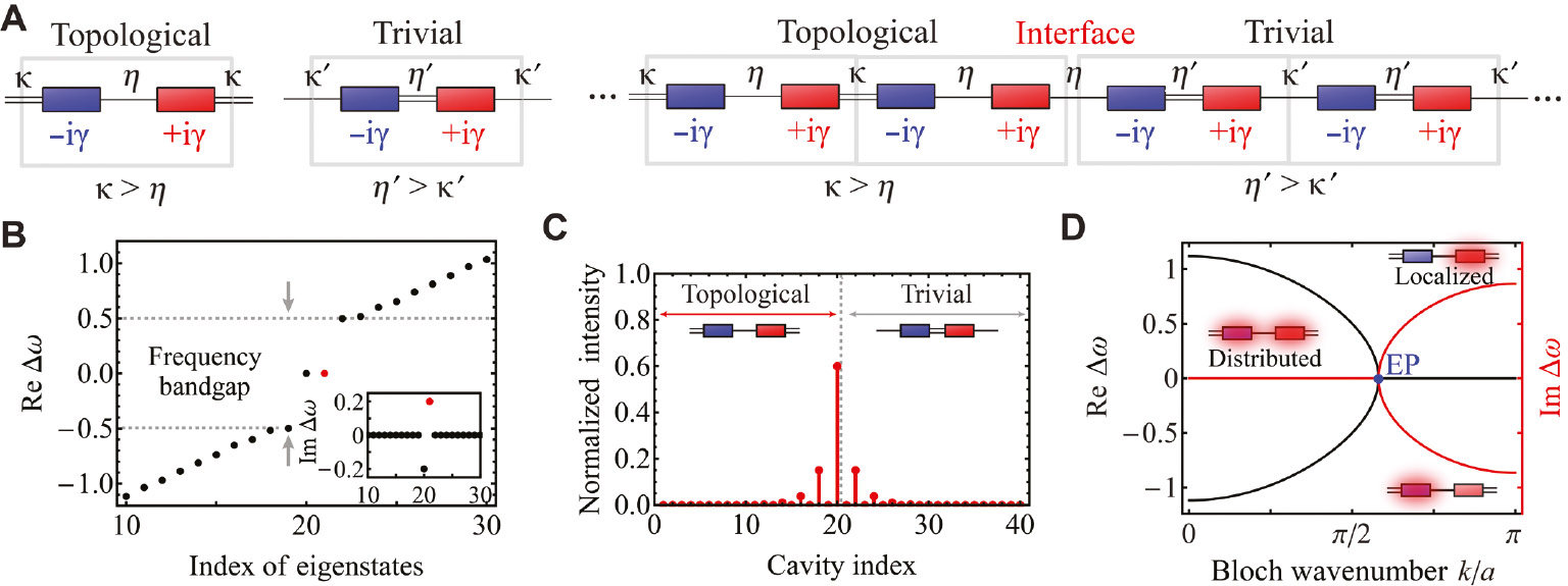 Figure 9: The complex SSH model [49], where staggered imaginary potential is applied to the system of periodic optical dimers based on two alternating couplings κ and η.Here, κ and η is determined by the system structure, i.e., distinct spatial intervals between the cavities. (A) Left: the topologically nontrivial and trivial unit cells. Right: a junction between the topological and trivial lattices with opposite magnitude relations of the couplings. The system forms a robust topological defect state on the interface. (B) Eigenfrequency spectrum Δω of the system with the junction shown in (A) and 20 cavities for each of the topological and trivial parts. κ=η′=1, η=κ′=0.5, γ=0.2. The red dots show the complex eigenfrequency of the topological defect state. The other zero mode is the edge state of the topological lattice. (C) Intensity distribution of the topological defect state. (D) Band structure with large gain and loss. κ=1, η=0.5, γ=1. The gain and loss makes the bandgap close and form an EP. The eigenmodes with imaginary detuning beyond the EP are localized at either of the cavity with gain or that with loss.