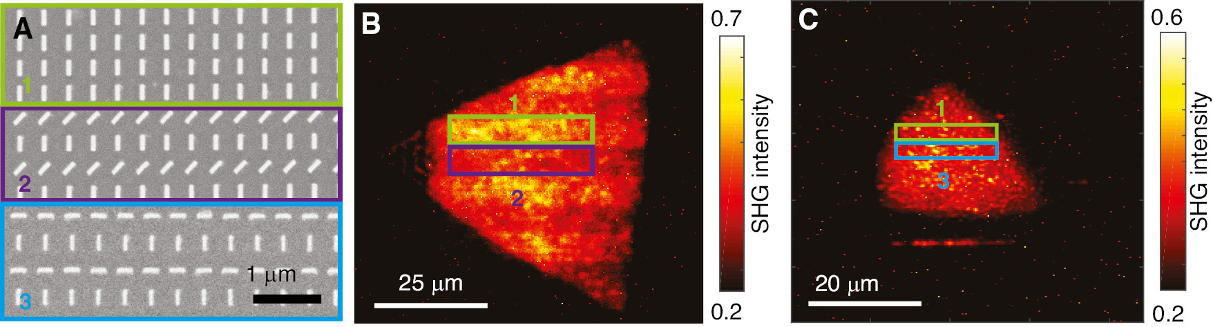 Figure 5: Spatial phase control of the SHG signal.(A) SEM image of the three distinct areas to generate different local phase distributions. In area 1 (marked in green), the plasmonic nanorods all have the same orientation. In area 2 (marked in purple), half of the antennas have the same orientation as the antennas in area 1. The other half (every second row) is rotated by an angle of θ=45°, resulting in an additional PB phase of φ=180°. In area 3 (blue), the previously 45° rotated antennas are now rotated by θ=90°, resulting in an additional PB phase of φ=360°. (B) SHG image of the plasmonic metasurface with alternating areas 1 and 2 on top of a 1L-WS2 flake measured in co-polarization state σ+ at λ=620 nm. The marked areas (green and purple) correspond to the areas with constructive and destructive interference, respectively. (C) SHG image of the plasmonic metasurface with areas 1 and 3 on top of a 1L-WS2 flake measured again in co-polarization state σ+. The marked areas (green and blue) indicate the corresponding areas with plasmonic nanorods.
