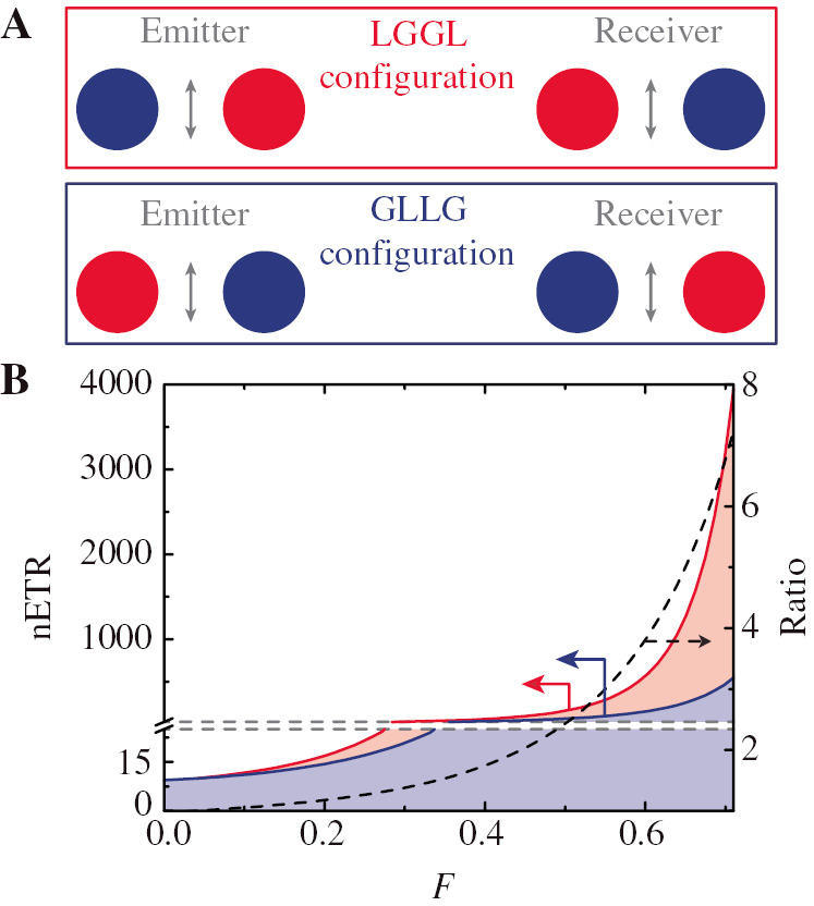 Figure 5: Analysis of the energy transfer.(A) Schematic of a nanoantenna pair mediating the radiative transfer of energy between two emitters placed at distances much larger than their resonant wavelengths. We consider two different arrangements that we denote as LGGL and GLLG configurations, where L and G represent a passive and active nanoparticle, respectively. (B) Normalised energy transfer rate (nETR) between the two dipole emitters for the LGGL configuration (red solid curve) and the GLLG configuration (blue solid curve). This quantity is plotted as a function of the pumping parameter F for a detuning ω−ω0=−0.19γ0. Notice the axis break introduced to improve visibility for small values of F. The black dashed curve (right axis) indicates the ratio between the nETR of the LGGL and GLLG configurations.