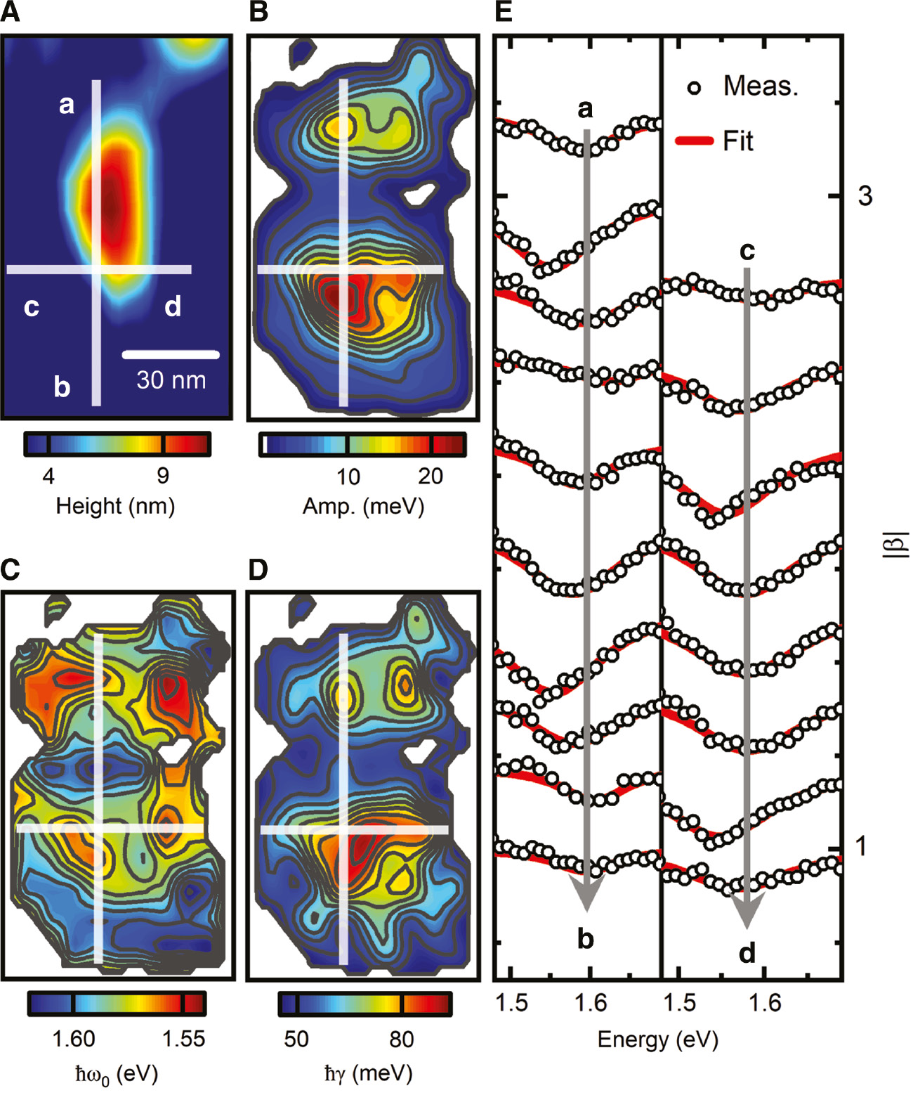 Figure 4: Line-shape analysis of PNSI spectra near a single gold nanorod.(A) AFM topography image of the nanorod. (B–D) Parameter maps of the normalized amplitude (B), resonance energy (C), and line width (D) of the LSP resonance extracted from the PNSI spectra. At each pixel of the scan, a PNSI spectrum is reconstructed from a referenced SI and fitted to a Lorentzian line shape. The maps of the resonance amplitude (B) and the line width (D) show the two-lobed intensity profile of the longitudinal nanorod LSP mode, while the resonance energy (C) shows a more complicated pattern with enhanced red shifts near the rim of the nanorod. (E) PNSI spectra (open circles) taken along the lines a–b and c–d in panel (A), emphasizing the red shift of the LSP resonance near the rim of the nanorod. The solid red lines are fits to a Lorentzian oscillator model.
