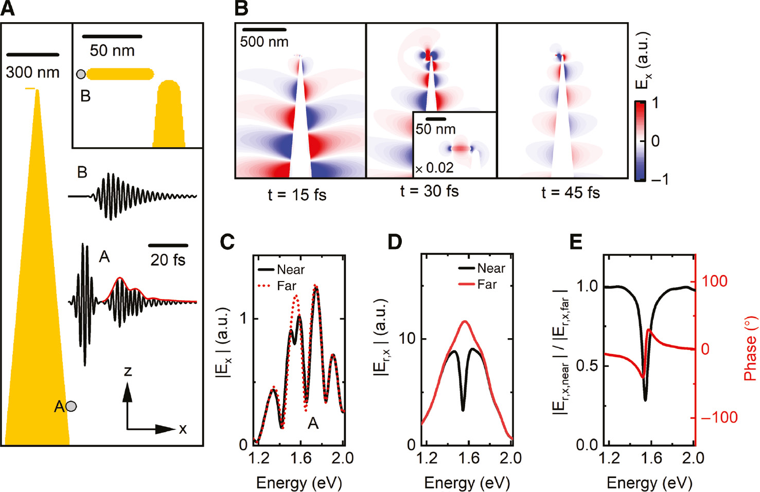 Figure 5: Finite-difference time-domain simulation of the PNSI experiment.(A) A conical gold tip is excited by a 7-fs SPP pulse in the m=0 mode. The nanofocused SPP pulse couples to a small gold nanorod (see inset). The field component Ex at point A shows the incident pulse followed by the pulse Er,x backreflected from the apex. Er,x contains the directly reflected apex field and the re-emitted nanorod field. Near the rod apex (point B), the field shows the nanorod FID. (B) Snapshots of Ex demonstrating the nanofocusing of SPPs to the apex (left), their interaction with the rod (middle), and backpropagation (right). The inset highlights the excitation of the nanorod. (C) FT spectrum of Ex at point A for tip-nanorod distances of 3 nm (“near”, black) and 100 nm (“far”, red). The near-field coupling to the rod is seen around 1.55 eV. (D) FT of Er,x at point A, emphasizing light absorption by the nanorod (black). (E) Amplitude (black) and phase spectrum (red) obtained by normalizing the complex-valued FT spectra of Er,x when the tip is “near” the rod to that with the tip “far” from it.