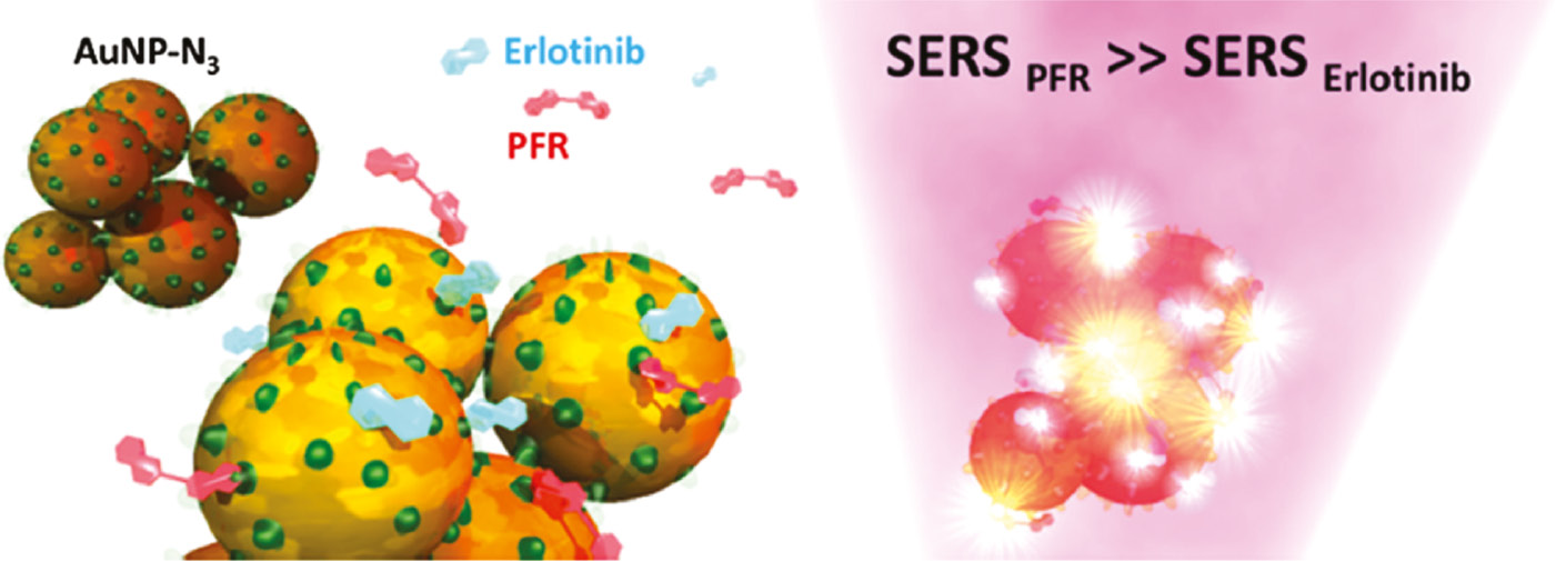 Figure 3: Schematic working principle of SERS mediated monitoring of the anti-cancer drug erlotinib.Erlotinib and PFR compete for the azide-groups on the surface of the functionalized Au NP. In common applications, erlotinib levels are low and the strong Raman scatterer PFR dominates on the surface of the Au NP clusters. The resulting intense SERS signal is negatively proportional to the target drug concentration. Adapted from Litti et al. [83], reproduced with the kind permission of Elsevier, Copyright (2019) Elsevier.