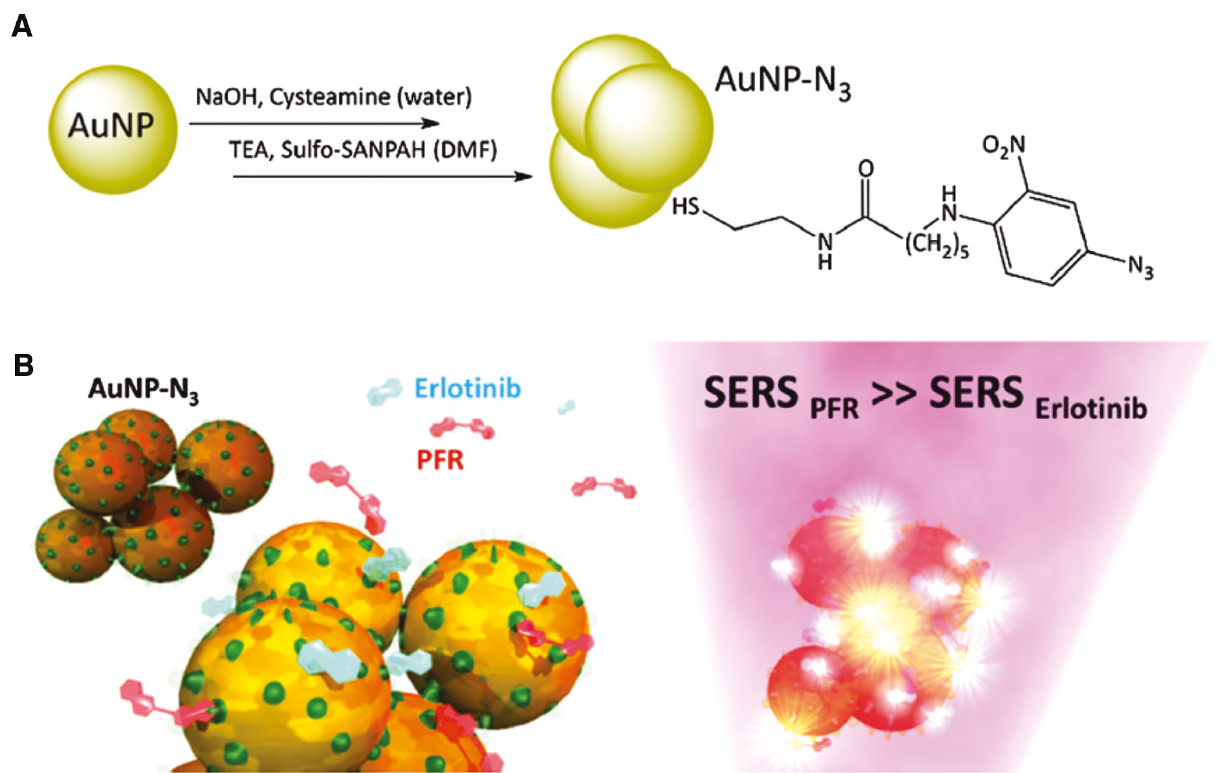 Figure 5: Schematic illustration of the production and application of a SERS substrate modified to avoid the protein problem.(A) Fabrication of the graphene oxide (GO)-supported functionalized starlike gold nanoparticles. L-cysteine is used to functionalize the NPs. (B) The L-cystein monolayer acts as brush layer and prevents blood serum proteins from blocking the SERS hot spots. Adapted from Panikar et al. [84], reproduced with the kind permission of the American Chemical Society, Copyright (2019) American Chemical Society.