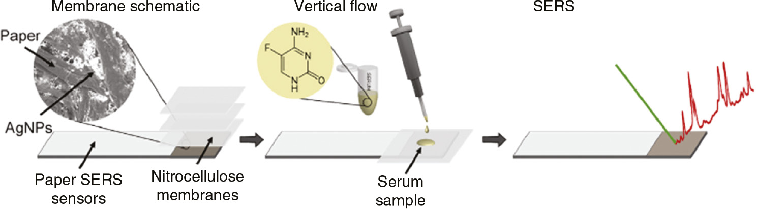 Figure 6: Working principle of a point-of-care applicable platform for SERS based on a paper-filtering membrane.The micro-structure is visible in the SEM picture of the Ag NPs on cellulose paper. After application of the sample liquid, proteins are separated from the active ingredients by vertical flow filtering. The SERS signal of the analytes can then be read from the paper SERS sensor. Adapted from Berger et al. [79], reproduced with the kind permission of Elsevier, Copyright (2017) Elsevier.