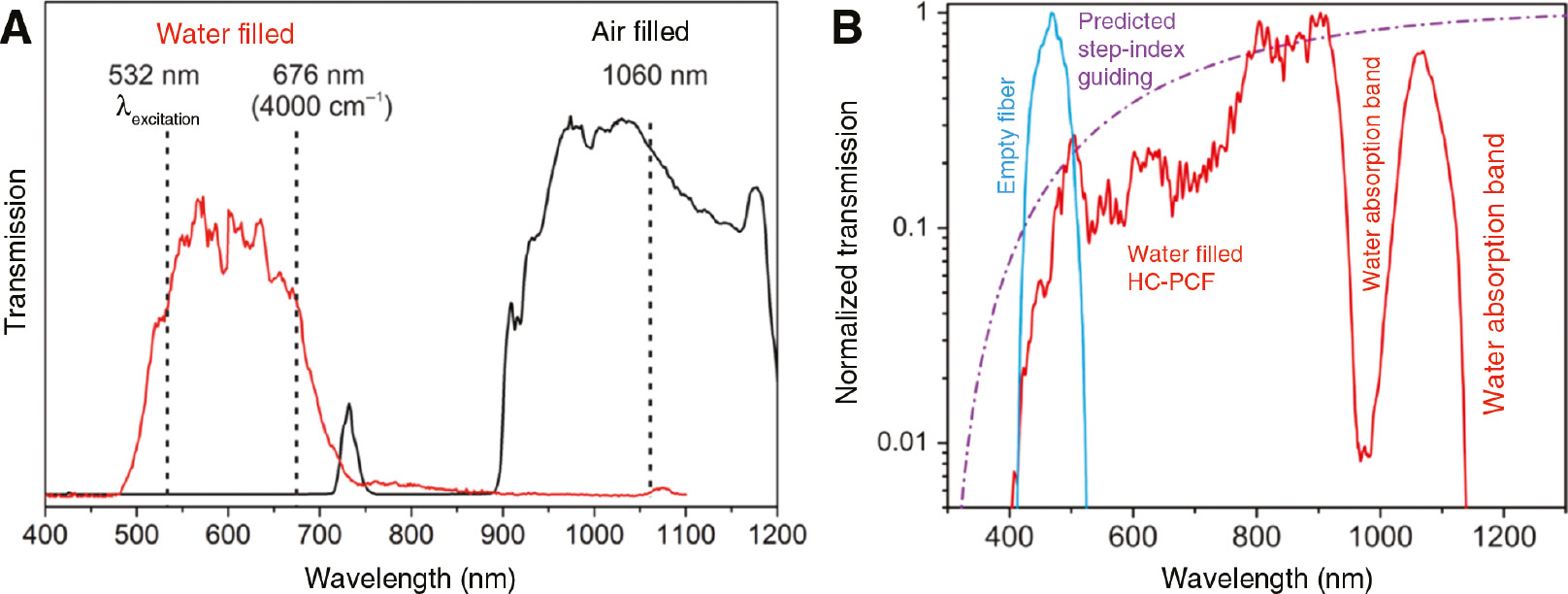 Figure 8: Transmission spectra of two different hollow core fibers for FERS of liquids.(A) Compared with the air-filled HC-PCF, the spectrum of the water filled fiber is blue-shifted into the visible spectral range. The sensor fiber is thus suited for FERS with a laser wavelength of 532 nm and Raman spectra up to 4000 cm−1. (B) In this case, not the whole microstructure of the fiber is water filled. Instead, just the central core of the fiber is filled with water, leading to a change in guiding properties (from band-gap to step-index guidance). The measured spectrum roughly follows the prediction and shows that the fiber offers broadband transmission in the visible range. Adapted from Yan et al. [59], [97], reproduced with the kind permission of the Royal Society of Chemistry (A), Copyright (2017) Royal Society of Chemistry and the American Chemical Society (B), Copyright (2017) American Chemical Society.