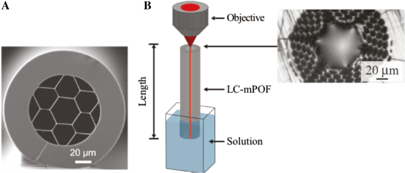 Figure 9: Cross sections of a novel silica air-clad hollow-core fiber (A) and polymer optical hollow-core fiber (B) for FERS sensing.(A) SEM image of the cross-section of an air-clad fiber which was developed specifically for highly sensitive drug monitoring. The diameter of the central core is approximately 30 μm. (B) Experimental setup for FERS for glucose sensing. The microstructure of the polymer hollow-core optical fiber is modified on one end: all openings but the central core are closed. This end is dipped into the sample solution which is sucked into the central core as a result of the capillary effect. Laser coupling and signal collection through an objective lens takes place at the other end of the fiber. The inset shows a microscope image of the upper end face of the micro-structured polymer hollow-core optical fiber. Adapted from Yan et al. [107] (A) and from Azkune et al. [102] (B), reproduced with the kind permission of the American Chemical Society, Copyright (2018) American Chemical Society (A) and IEEE (B).