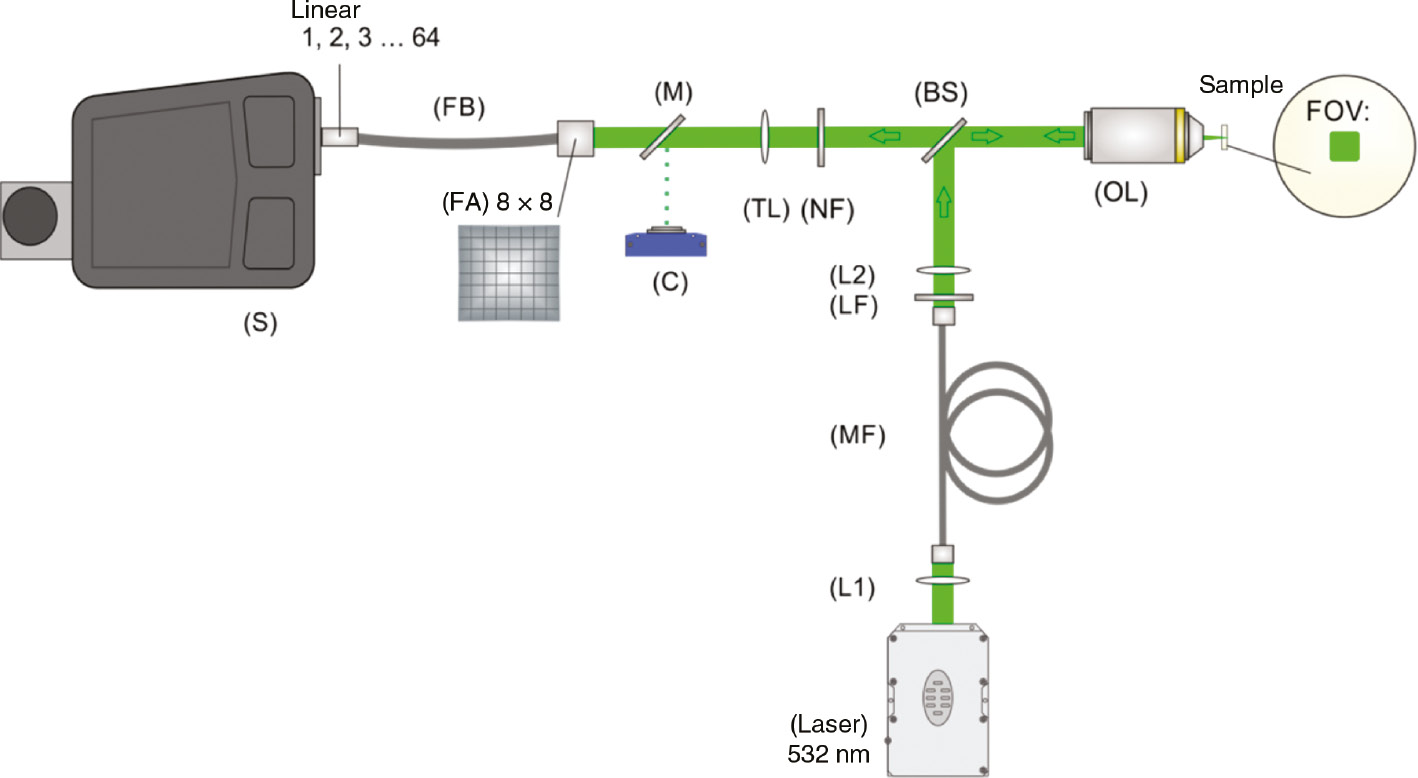 Figure 10: Sketch of the experimental setup for fiber array-based Raman hyperspectral imaging.The rectangular area of illumination in the focal plane is achieved with a long propagation length of the laser light within a step index multimode fiber (MF). The backscattered signal is imaged onto an 8×8 fiber array. The fiber arrangement within the fiber bundle (FB) changes from 8×8 square to 64×1 line. The linear array is positioned in the slit plane of the spectrometer enabling hyperspectral imaging with reduced effort for acquisition. Adapted from Frosch et al. [103], reproduced with the kind permission of MDPI.