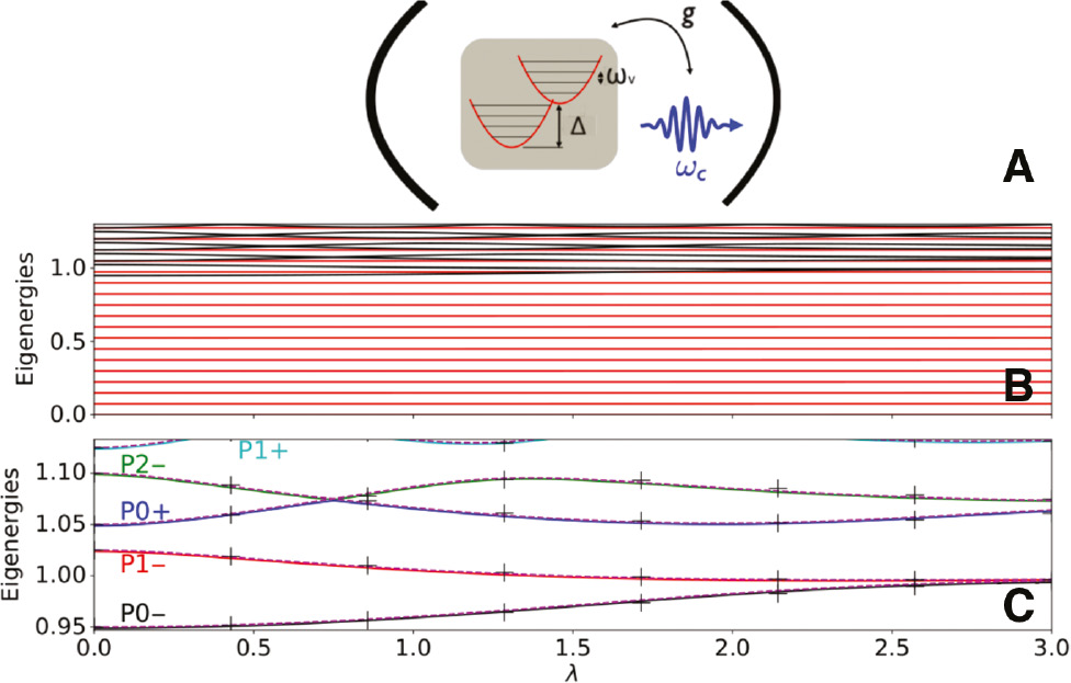 Figure 1: Energy levels in molecular cavity QED.(A) Schematic representation of the energy scales in the problem of a molecule in a cavity. (B) Lower eigen energies as a function of the Huang-Rhys factor. Red lines correspond to the vibrational ladder of the photon-exciton ground-state, while black lines correspond to the 1 excitation light-matter (polariton) sector. The parameters used are ωc=Δ=1, ωv=0.075, and g=0.05. (C) Zoom of panel (B) in the polariton sector. Solid lines were obtained with the HQR model, data points marked with crosses were obtained with the HJC Hamiltonian (neglecting the CR terms), and the discontinuous lines are obtained with the effective QR model described by Eq. (3).