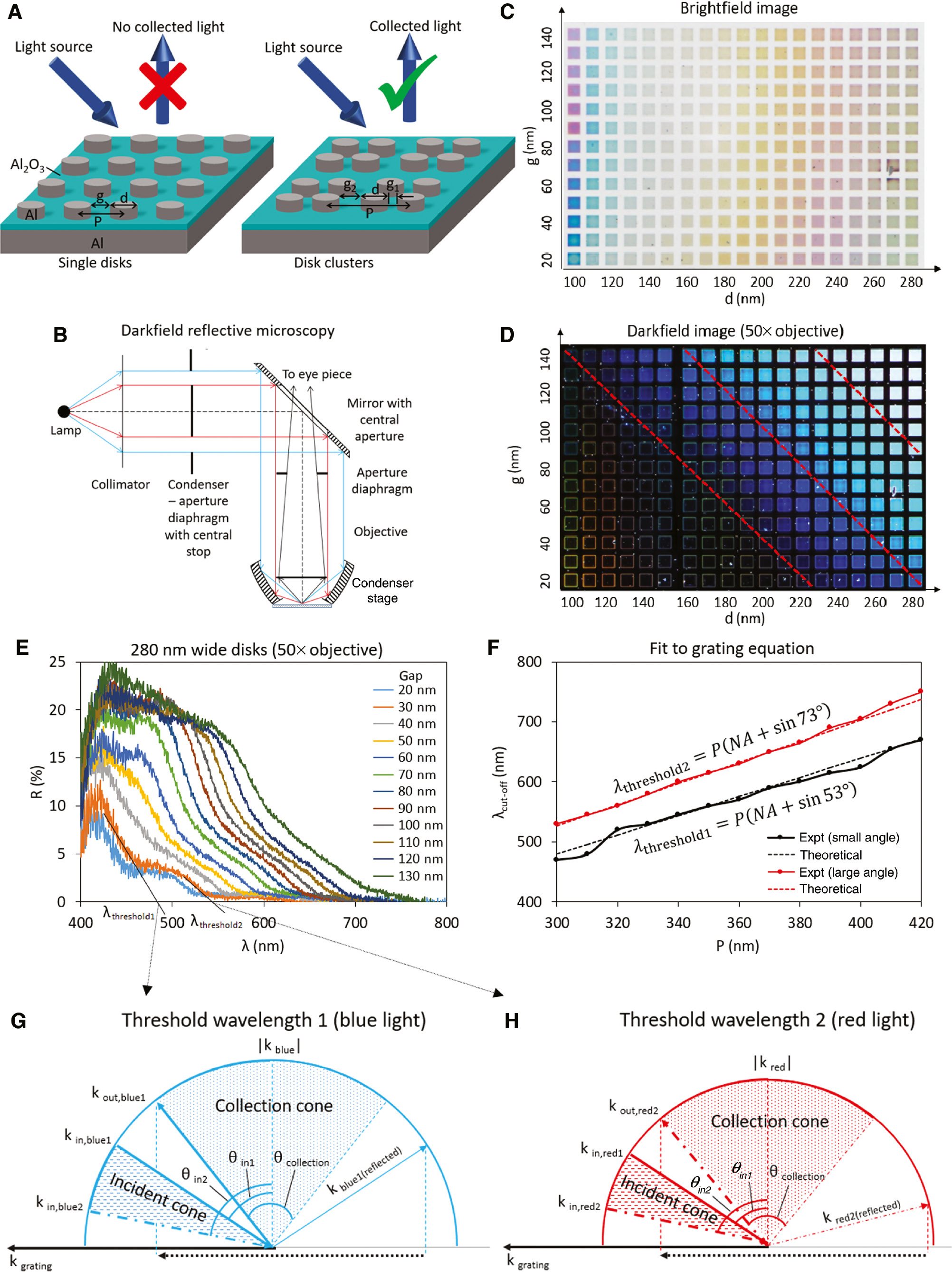 Figure 1: Darkfield colors from arrays of single Al nanodisk gap plasmon resonators.(A) 3D schematic of an array of Al disks on Al2O3 on Al, forming gap plasmon resonators. The disks have diameter d, inter-disk gap g, and period P. (B) Light paths in darkfield microscopy, where the central part of the light from the source is blocked by the central stop. Light is sent onto the sample as a hollow cone. The paths followed by the two threshold wavelengths are marked blue and red, respectively. (C) Optical brightfield micrograph taken using a Nikon 20×/0.45 NA objective. (D) Optical darkfield micrograph taken using a Nikon 50×/0.8 NA objective. Each square in the micrographs is 10 μm by 10 μm in size. The disk diameter range is 60 nm to 280 nm, while the inter-disk gap range is 30 nm to 140 nm. Saturated blue colors appear when the period increases above 250 nm. (E) Darkfield spectra for 280 nm wide disks and inter-disk gaps between 20 nm and 130 nm. The threshold wavelengths for the array with a gap of 30 nm are shown. (F) Fits of the experimental threshold wavelengths to the values obtained from the diffraction grating equation. (G) Wave vector diagram for blue light at the threshold wavelength for complete collection of first-order diffracted light. Light is incident onto the grating in a wedge of angles, where θin1 and θin2 correspond to the minimum and maximum polar angles, respectively. All the output angles of the diffracted light from the grating lie within the collection cone of the objective. (H) Wave vector diagram for red light. The output angle of the diffracted light lies just outside the collection cone, so no diffracted light is collected.