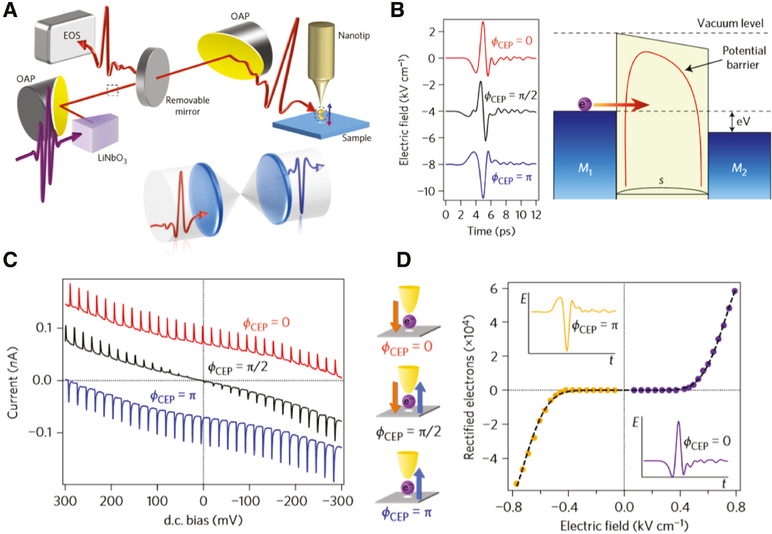 Figure 4: THz-STM system based on CEP–controlled terahertz fields.(A) Schematic of THz-STM setup. The incident terahertz pulse is focused onto the metal nanotip and coupled via antenna-like plasmonic effect. The CEP of single-cycle terahertz pulse is controlled by a pair of cylindrical or spherical lenses. (B) Terahertz electric fields in time domain with different CEP (0, π/2, and π), which show half- (red and blue lines) and single-cycle (black line) terahertz electric fields (left). The CEP-controlled terahertz electric field modifies potential barrier between metal tip and sample (right). (C) The tunnel current as a function of DC bias voltage in the tip–sample junction for different CEP terahertz electric fields. (D) Schematic of electron motion between the metal nanotip to sample for different CEP (left) and terahertz field–induced rectified electrons as a function of peak field of terahertz pulse (right). The CEP-controlled terahertz field leads to the unidirectional coherent motion of electrons. The figures are reproduced from Reference [20].