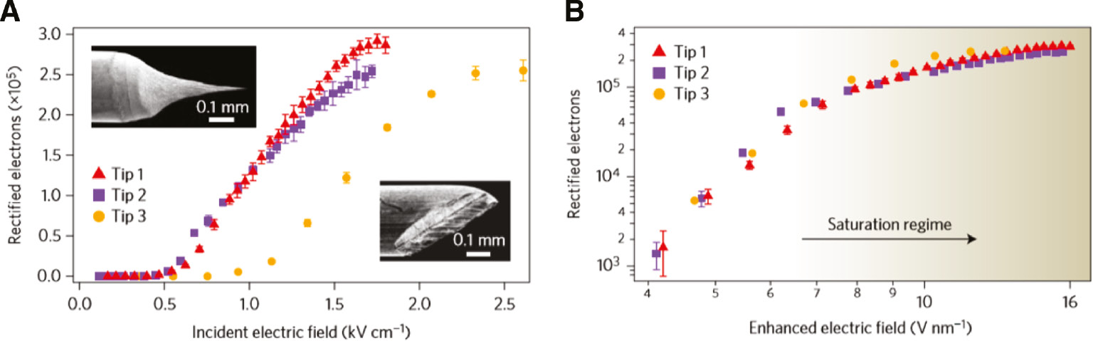 Figure 5: Rectified electrons from the nanotip.(A) Number of rectified electrons as a function of incident terahertz electric field, measured with three different metal tips. Electrochemical etching produces sharp tips (Tips 1 and 2), whereas mechanical cutting makes a blunt tip (Tip 3). Insets are SEM images of sharp (top) and blunt (bottom) tips. (B) Number of rectified electrons as a function of enhanced terahertz electric field for three different tips, in which the same behavior indicates that the tip geometry affects only the enhancement factor. The saturation regime (space-charge-limited regime) is achieved by strong field enhancement in metal nanotip. The figures are reproduced from Reference [20].