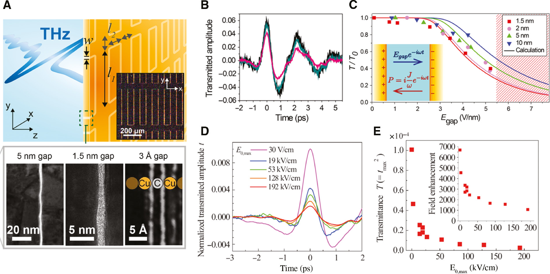 Figure 9: Terahertz funneling-induced electron tunneling in metal gaps.(A) Terahertz pulse is passing through a metallic nanogap structure. At the bottom figure, cross-sectional transmission electron microscopy (TEM) images for nanogaps are shown; 5- and 1.5-nm gaps composed of alumina layer sandwiched by gold and 3-angstrom gap composed of a single-layer graphene sandwiched by coppers. (B) Measured amplitudes of transmitted terahertz pulses through the 1.5-nm alumina gap as a function of incident terahertz field strengths (black: 20 kV/cm, green: 75 kV/cm and red: 150 kV/cm). (C) Measured (dots) and calculated (lines) terahertz transmittance normalized by minimum transmittance value as a function of field strength inside the gap for different alumina layer thicknesses. Dashed region indicates that nanogaps are damaged after the measurement when the corresponding field strength is applied at the gap. (D) Measured amplitudes of transmitted terahertz pulses through the copper–graphene–copper gap as a function of incident terahertz field strengths. (E) Absolute terahertz transmittance as a function of field amplitude inside the graphene gap. Inset shows terahertz field enhancement factors as a function of incident field strength. The figures (A–C) and (D, E) are reproduced from References [13] and [14], respectively.