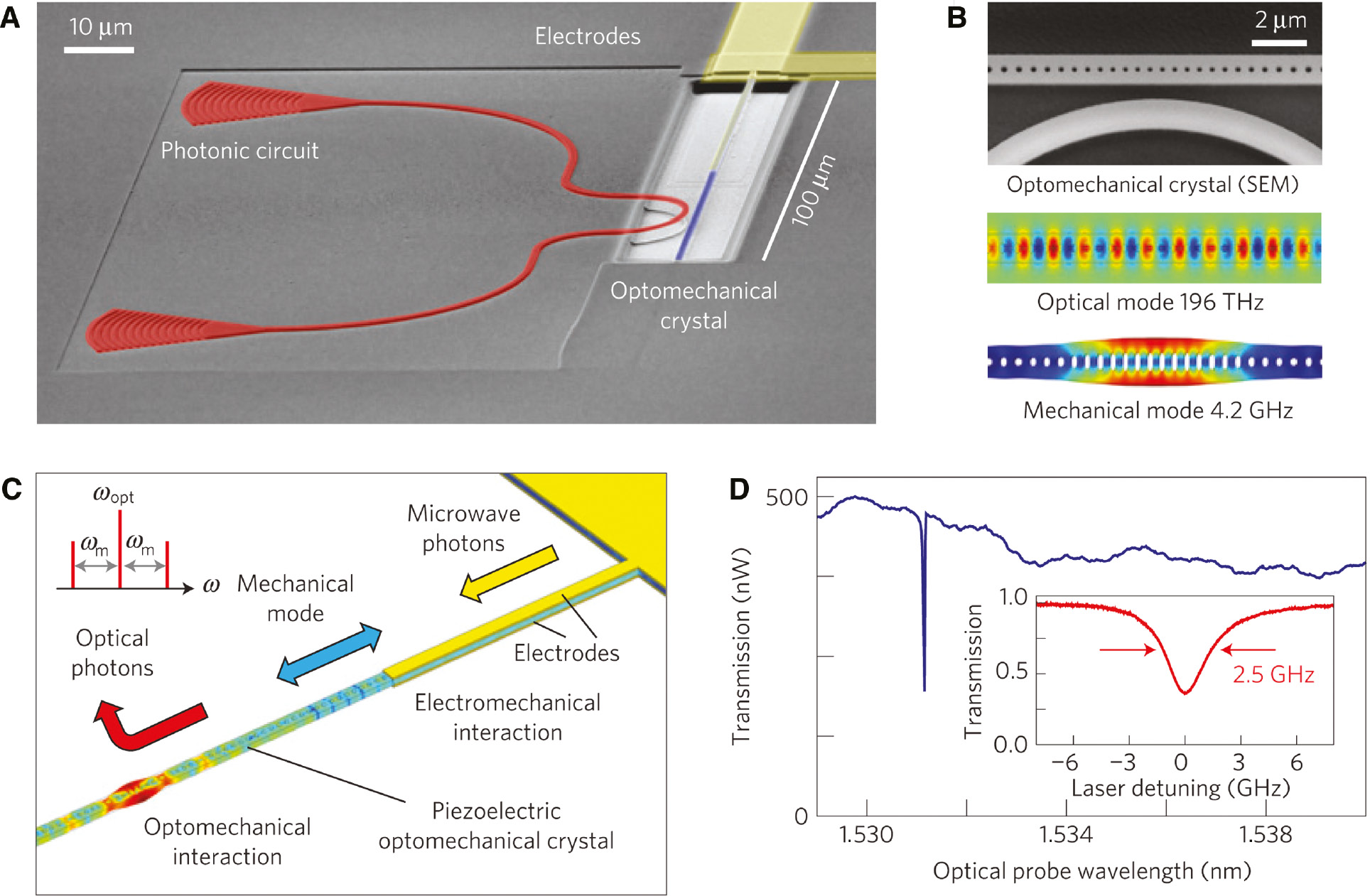 Figure 18: Device and electro-optomechanical coupling scheme.(A) SEM of the device (angled view) showing the mechanically suspended AlN optomechanical crystal (blue) with aluminum electrodes (yellow) and the AlN photonic circuit (red, rib WG, and grating couplers). (B) Top view of the central region of the optomechanical crystal (SEM) and numerical simulations of the electrical field distribution of the optical mode at ωcav/2π=196 THz and the mechanical displacement profile of the localized mechanical breathing mode at ωm/2π=4.2 GHz. (C) Schematic of electro-optomechanical transduction in the piezoelectric optomechanical crystal (light blue). An electrical microwave signal on the electrodes (yellow) induces strain by piezoelectric coupling and resonantly excites the engineered breathing mode of the optomechanical crystal. Parametric optomechanical coupling to the colocalized optical mode (not shown) generates optical sidebands on a probe laser field (schematic; top left), thereby upconverting the mechanical (electrical) state to optical frequencies. Color coding of the suspended beam indicates mechanical displacement of the electrically driven device (numerical simulation). (D) Measured optical transmission as a function of optical probe wavelength. The PhC resonance at 1531.5 nm has a linewidth κ/2π=2.5 GHz full-width at half-maximum with resonant transmission T=37% (inset). Reprinted with permission from Ref. [150]. Copyright (2013) Springer-Nature.