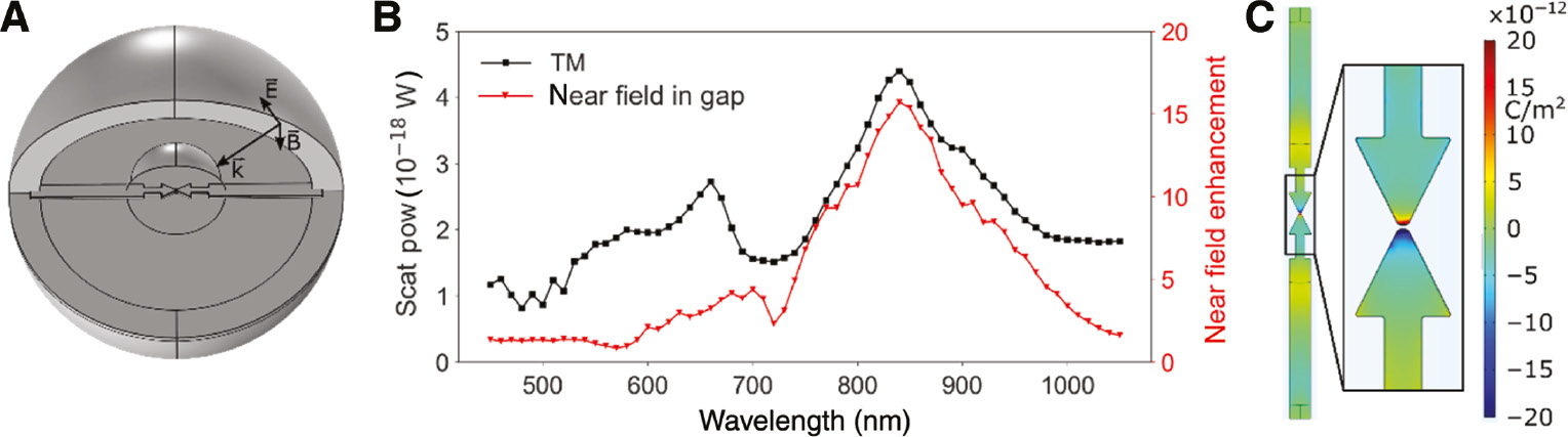 Figure 2: Finite element method simulation of a plasmonic MCBJ.(A) Simulation model of a plasmonic break junction. The gap of the integrated BT is set to 6 nm. The base of the BT measures 120 nm, and the length of the triangle is 130 nm. (B) Simulated spectra of the scattered power (black squares) and the near-field enhancement in the gap (red triangles). The exciting light is TM polarized. The electric field is oriented along the long axis of the BT. (C) Surface charge density near the plasmonic break junction. The wavelength of the exciting light is chosen to 840 nm. The charge distribution implies that the main peak in (B) can be attributed to the bonding mode of the BT.