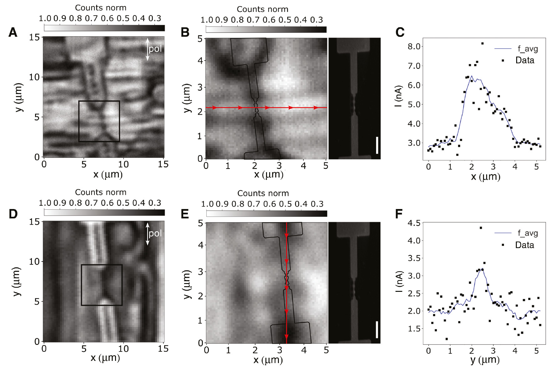 Figure 7: Results of combined optical and electrical measurements.(A) Scattering image of a break junction with vertical scan direction. The black frame indicates the scan area of (B). (B) Higher-magnification image of the junction area of the break junction shown in (A). The outline of the break junction is overlaid to illustrate the position of the MCBJ. An SEM image of the break junction is displayed next to the image. The scale bar is 1 μm. (C) Current during a horizontal line section. The scan position is depicted in (B) as a red line. (D) Scattering image of a break junction with horizontal scan direction. The black frame indicates the scanning area of (E). (E) Higher magnification image of the junction area of the break junction shown in (D). The measurement is slightly out of focus, resulting in a blurred picture. The outline of the break junction is overlaid to illustrate the position of the MCBJ. An SEM image of the break junction is displayed next to the image. The scale bar is 1 μm. (F) Current during a vertical line section. The scan position is depicted in (E) as a red line.