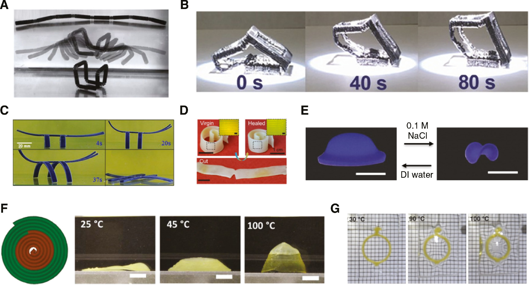 Figure 4: 4D printing with smart materials.(A) 4D-printed structure that transforms its shape from a 1D line to a 3D cube. Adapted from Ref. [14]. Copyright (2014) John Wiley & Sons. (B) The shape memory process of the cubic frame made of carbon black doped polyurethane under light illumination of 87 mW/cm2. Adapted from Ref. [29]. Copyright (2017) John Wiley & Sons. Copyright (2016) Nature Publishing group. (C) 3D-printed structure that is mimicking the insect. The deformation behavior of the structure in a 30°C water is shown over time. The image on the lower right corner is the fully recovered structure in the 60°C water. Adapted from Ref. [16]. (D) Photographs of the shape memory assisted self-healing effect. Inserted pictures are the optical microscope images with a scale bar of 1 mm. Adapted from Ref. [30]. Copyright (2018) ACS Publications. (E) Hydrogel based 4D-printed structure (scale bar: 1 cm). Adapted from Ref. [31]. Copyright (2017) John Wiley & Sons. (F) Sequential deformation of a multi-material LCE structure. With molecular engineering, different actuation temperatures were realized (scale bar: 5 mm). Adapted from Ref. [32]. Copyright (2019) John Wiley & Sons. (G) 4D-printed structure that combined LCE with PDMS for adaptive optics. The pictures show the grid observed at different temperatures. Adapted from Ref. [33]. Copyright (2018) John Wiley & Sons.