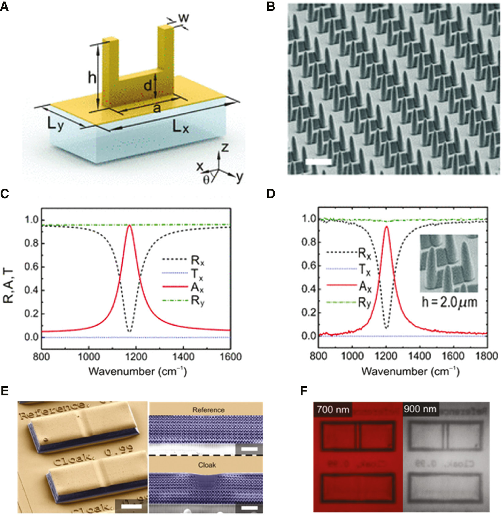 Figure 6: 3D printing for optical metamaterial.(A) Schematic of the standing U-shape resonator with Lx=4 μm, Ly=2 μm, a=2 μm, h=2 μm, d=0.7 μm, and w=0.3 μm. (B) FESEM micrographs of the SUSRs with h=2 μm (scale bar: 2 μm). (C) Simulation result of the SUSRs with the same parameter of Figure 3B. (D) Measured spectra of the SUSRs with h=2 μm. Adapted from Ref. [91]. Copyright (2013) APS. (E) SEM images of reference and cloak samples. The blue color indicates polymers and the yellow one indicates a sputtered gold film (scale bar, 10 μm). (F) Measured images of reference (top) and cloak (bottom) samples at different wavelengths. Adapted from Ref. [92]. Copyright (2011) OSA Publishing.