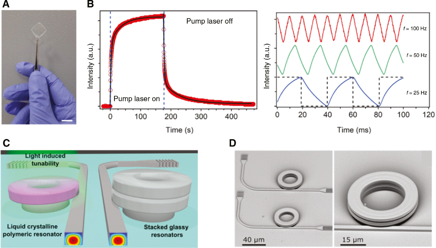 Figure 10: 4D printing of photoresponsive materials.(A) Photograph of an optical window after polishing (scale bar: 1 mm). (B) The intensity value with the 532 nm pump laser on and off states. There is an abrupt intensity growth with the pump laser on and a decay of the intensity without the pump laser. The modulation of the transmitted beam was demonstrated up to 100 Hz. Adapted from Ref. [126]. Copyright (2019) SPIE. (C) A schematic of the light-tunable whispering gallery mode resonator. The pink color indicates the liquid crystal polymer region. (D) SEM images of the fabricated waveguide with whispering gallery mode resonators. Adapted from Ref. [127]. Copyright (2018) ACS Publications.