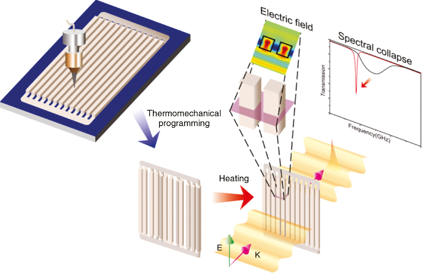 Figure 11: Schematic of a stimuli-responsive SMP photonic structure.The 3D-printed SMP lattice is randomized into a disordered one. The disordered lattice does not exhibit a sharp spectral resonance. But, when heated above the glass transition temperature, the disordered lattice is transformed into an ordered lattice, exhibiting a sharp Fano resonance. Reprinted from Ref. [135]. Copyright (2019) John Wiley & Sons.