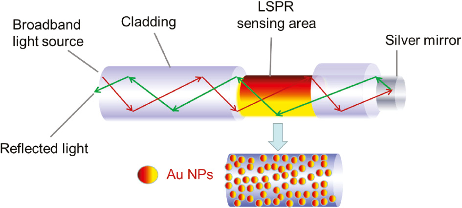 Figure 1: Schematic illustration of fiber-optic LSPR sensing probe.