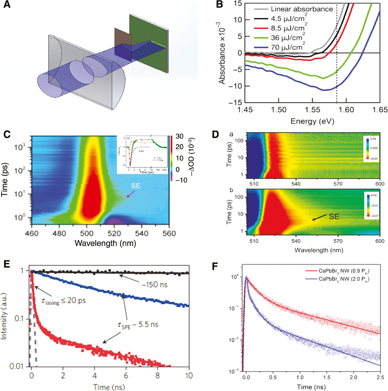 Figure 2: The optical gain and lifetime of stimulated emission process.(A) The VSL experiment for estimation of modal net gain. Reproduced with permission [18]. Copyright © 2015, Springer Nature. (B) Gain spectra at 3 ps of MAPbI3 thin film for various pump fluences. Reproduced with permission [11]. Copyright © 2014 WILEY-VCH Verlag GmbH & Co. KGaA, Weinheim. (C) The TA spectroscopic data of CsPbBr3 nanocrystals film with two-photon excitation at 1.5 mJ/cm2. SE: stimulated emission. Inset: the TA kinetics probed at 527 nm with components of the SE and excited state absorption. Reproduced with permission [32]. Copyright © 2016, American Chemical Society. (D) The TA spectroscopic data of CsPbBr3 nanocuboids film with two-photon excitation below (top) and above (bottom) threshold. Reproduced with permission [33]. Copyright © 2018, American Chemical Society. (E) The TRPL decay kinetics after photoexcitation with pump fluence below and above the threshold. Reproduced with permission [34]. Copyright © 2015, Springer Nature. (F) The TRPL from a CsPbBr3 nanowire below (red) and above (blue) the lasing threshold. The emergence of a rapid decay component (<10 ps) suggests rapid carrier quenching due to stimulated emission. Reproduced with permission [35]. Copyright © 2016, National Academy of Sciences of the United States of America.