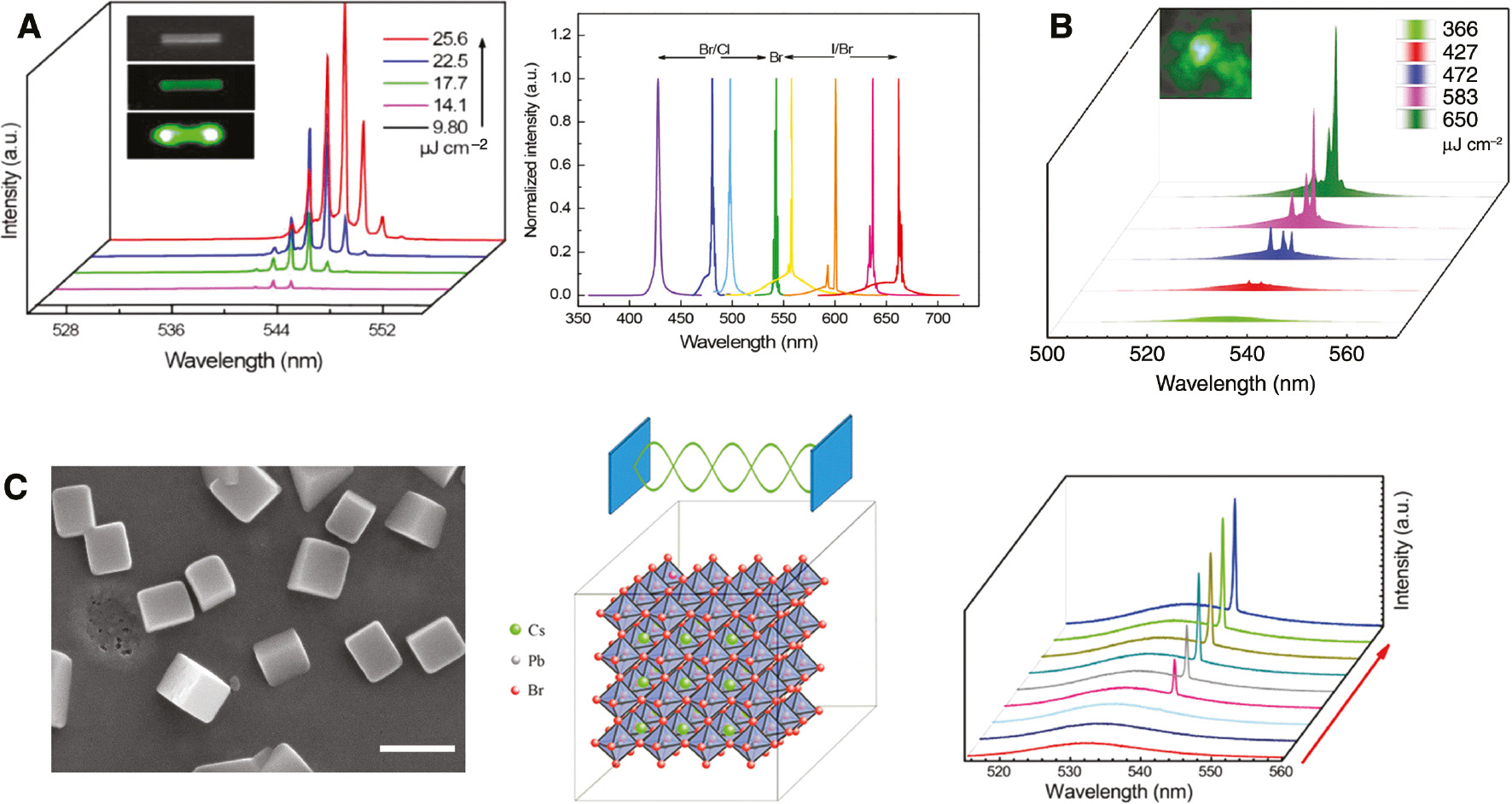 Figure 4: The Perovskite microrod and microcube lasers.(A) Left: The triangular rod emission spectra around the lasing threshold. Inset: The optical images of a single triangular rod. Right: The wavelength-tunable lasing at room temperature from the CsPbX3 nanorod lasers. Reproduced with permission [63]. Copyright © 2017, American Chemical Society. (B) The intensity-dependent emission spectra from CsPbBr3 microcubes around the lasing threshold. Inset: A photograph of a single CsPbBr3 microcube above the lasing threshold. Reproduced with permission [64]. Copyright © 2017 WILEY-VCH Verlag GmbH & Co. KGaA, Weinheim. (C) Left: The SEM image of the CsPbBr3 nanocuboids. The scale bar is 500 nm. Middle: Schematics of the crystalline structure (below) and stand-wave in F−P cavity (upper). Right: The pump intensity-dependent emission spectra from a single CsPbBr3 nanocuboid under two-photon excitation. Reproduced with permission [33]. Copyright © 2018, American Chemical Society.