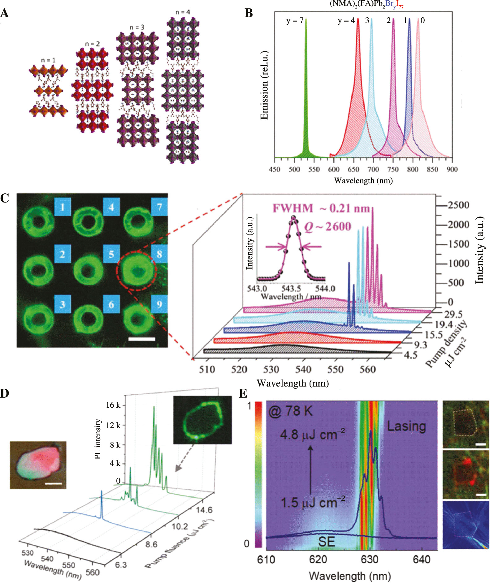 Figure 10: The 2D perovskite laser.(A) The crystal structures of the 2D perovskites with n from 1 to 4. Reproduced with permission [108]. Copyright © 2016, American Chemical Society. (B) The tunable ASE spectra from the (NMA)2(FA)Pb2BryI7−y thin films. Reproduced with permission [109]. Copyright © 2018 WILEY-VCH Verlag GmbH & Co. KGaA, Weinheim. (C) Left: The μ-PL image recorded above lasing threshold with distinct spatial interference patterns. Right: The intensity-dependent PL spectra recorded from microring 8 labeled in Left. Inset: The lasing spectrum above the threshold with a Gaussian fitting. Reproduced with permission [110]. Copyright © 2018 WILEY-VCH Verlag GmbH & Co. KGaA, Weinheim. (D) The pump-intensity-dependent PL spectra of a single MPL. Left inset: The optical image with scale bar of 5 μm. Right inset: The optical image of MPL above the lasing threshold. Reproduced with permission [111]. Copyright © 2018 WILEY-VCH Verlag GmbH & Co. KGaA, Weinheim. (E) The evolution of spontaneous emission to normalized lasing spectra under various excitation fluences for n=3 RPP. Right panels: The corresponding dark filed images below and above the lasing threshold and simulated electric field distribution (|E|2) from the top to bottom panels, respectively. Scale bar: 5 μm. Reproduced with permission [112]. Copyright © 2019 WILEY-VCH Verlag GmbH & Co. KGaA, Weinheim.