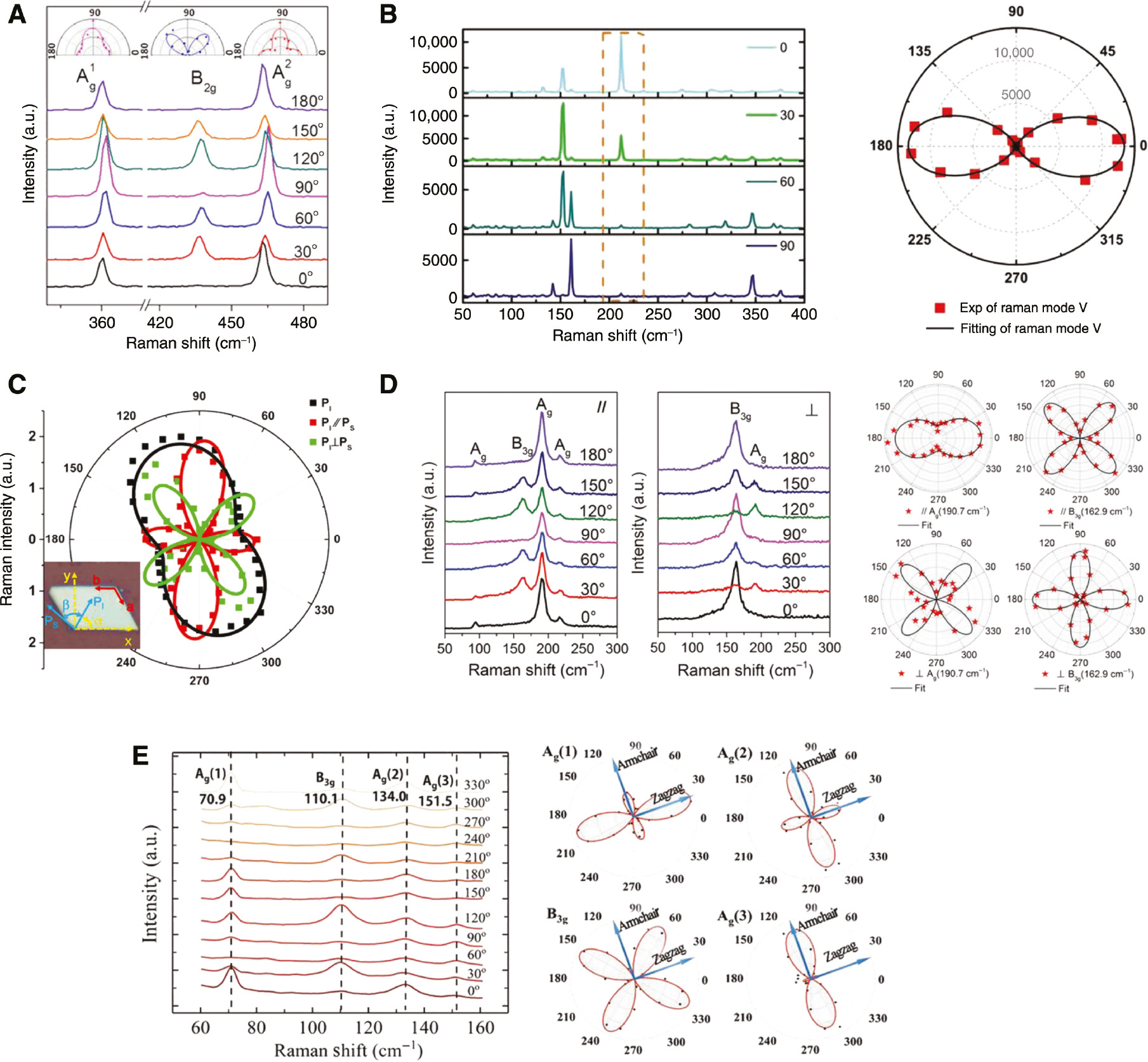 Figure 2: The angle-resolved polarized Raman spectroscopy of the anisotropic 2DLMs.(A) BP flake (the insert shows the corresponding polar plots). Reproduced with permission from Ref. Ling et al. [93]. (B) ReS2: the angle-resolved polarized Raman spectroscopy with V-mode highlighted in orange and corresponding polar plot of the Raman intensity of V-mode. Reproduced with permission from Meng et al. [94]. (C) ReSe2: polar plots of the extracted angular-dependent intensity at Raman peak 238 cm−1 under “only incident,” “parallel,” and “perpendicular” configurations. Reproduced with permission from Zhang et al. [102]. (D) SnS: Raman spectra of 14.6-nm SnS flake with 532-nm incident laser under parallel and perpendicular polarization configurations (left figure); the polar plots of intensity of Ag and B3g under parallel and perpendicular polarization (right figure), respectively. Reproduced with permission from Xia et al. [120]. (E) SnSe: the angle-resolved polarized Raman spectroscopy (left figure); angular dependence of the Raman intensities of Ag(1), B3g, Ag(2), and Ag(3) modes (right figure). Reproduced with permission from Zhang et al. [105].