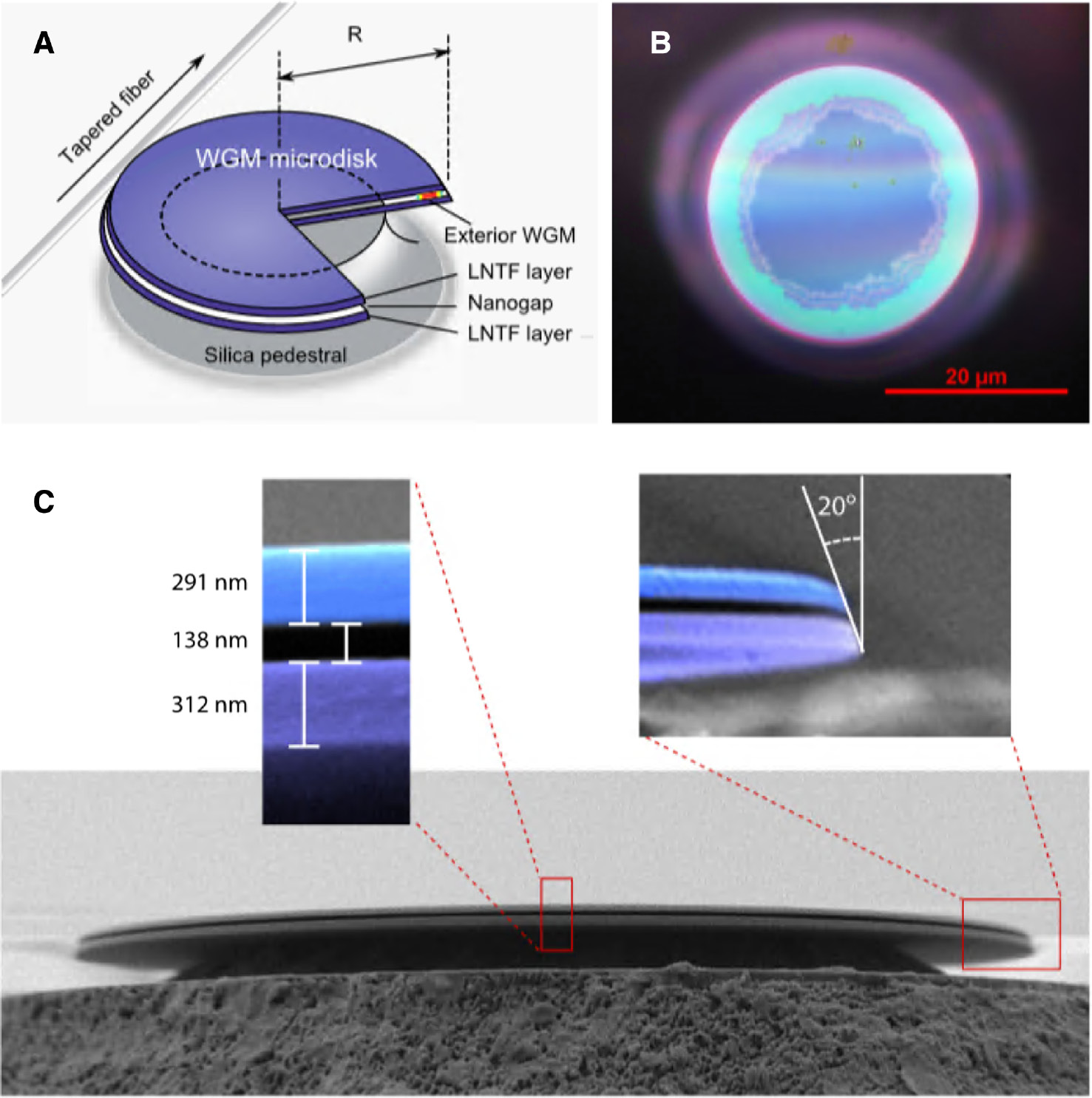 Figure 13: A double-layer LNOI microdisk resonator.(A) Schematic of the double-layer LNOI microdisk resonator. (B) Top-view optical microscopy image of the microdisk. The two inner irregularly shaped circles indicate inward etching of the silica buffer layers. (C) Scanning electron microscope image of the microdisk, with enlarged false-colored images clearly showing the well-separated upper and lower LN thin film layers. Reprinted (abstract/excerpt/figure) with permission from Zheng et al. [94]. Copyright (2019) by the American Physical Society.