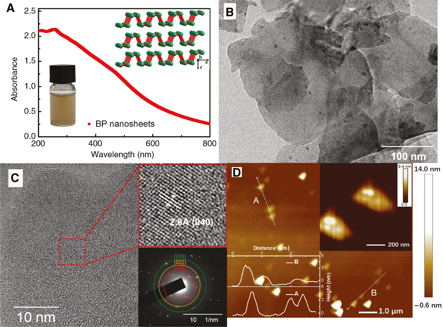 Figure 1: Absorbance spectrum and structural characterizations of black phosphorus (BP) nanosheets.(A) Absorbance spectrum of black phosphorus (BP) nanosheets. The upper inset is the schematic lattice structure of multilayer BP and the inset at the bottom is the picture for the aqueous solution of BP nanosheets. (B) Transmission electron microscopy (TEM) images of the BP nanosheets. (C) High-resolution TEM image. The insets are schematic illustration of the atomic arrangements and the corresponding selective area electron diffraction (SAED) pattern. (D) Atomic force microscopy image of BP nanosheets.