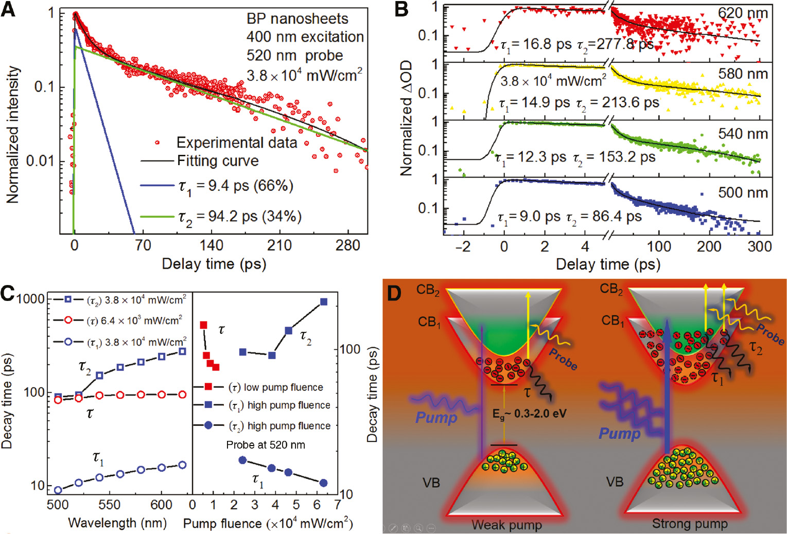 Figure 3: Comparison of the carrier dynamics between low pump fluence region and high pump fluence region for pump wavelength at 400 nm.(A) Transient absorption (TA) (red dot) signals measured with pump wavelength at 400 nm (3.8×104 mW/cm2) and probe wavelength at 520 nm, fitted with the double-exponential function (black line). The blue line and green line represent the faster decaying process and the slower decaying process, respectively. (B) Carrier dynamics at different probe wavelengths (500 nm, 540 nm, 580 nm, 620 nm) with 400 nm pump at a fluence of 3.8×104 mW/cm2. (C) Left panel: probe wavelength-dependent lifetime (pump at 400 nm) at low fluence (6.4×103 mW/cm2, red circle) and high fluence (3.8×104 mW/cm2, blue square for τ2). Right panel: pump fluence-dependent carrier lifetimes in the low fluence (red square) and high fluence (blue square) regions. (D) Schematic illustration of the subband structure of black phosphorus (BP) nanosheets and the carrier dynamics (with 400 nm laser as pump) at the weak pump fluence (left) and the strong pump fluence (right) condition, respectively.