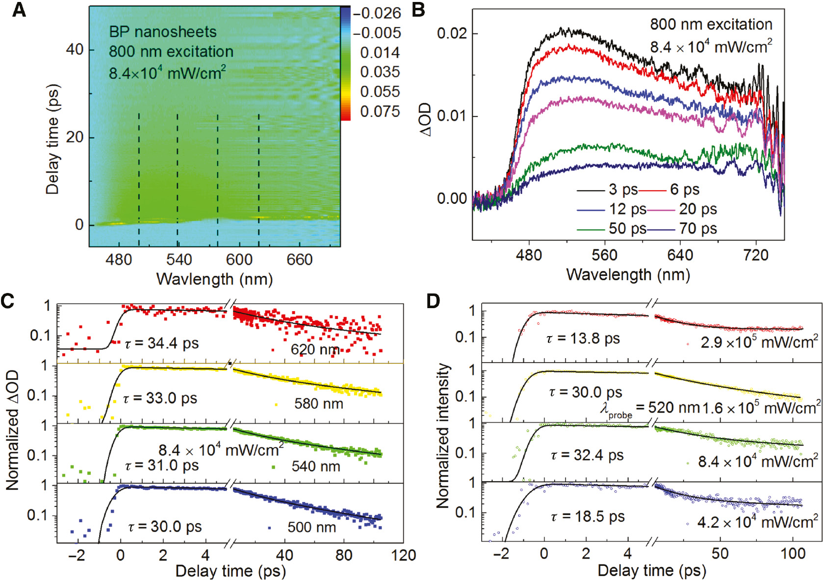 Figure 4: Wavelength and fluence dependent ultrafast carrier dynamics of BP nanosheets with pump wavelength at 800 nm.(A) Two-dimensional (2D) mapping of transient absorption (TA) spectrum for black phosphorus (BP) nanosheets pumped at 800 nm with the pump fluence at 8.4×104 mW/cm2. (B) Spectra of change of optical density at different delay times. (C) Carrier dynamics (at 800 nm pump) at different probe wavelengths with pump fluence fixed at 8.4×104 mW/cm2. (D) Carrier dynamics at different pump (at 800 nm) fluences from 4.2×104 mW/cm2 to 2.9×105 mW/cm2 with probe wavelength fixed at 520 nm.