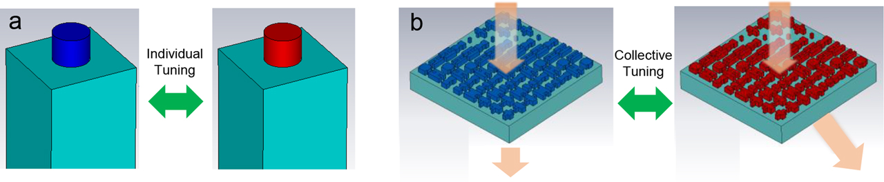 Figure 1: Basic design principles of reconfigurable metadevices: (a) individual meta-atom tuning; (b) collective metasurface tuning. Red and blue colors indicate different optical states of the meta-atoms upon external stimulation.