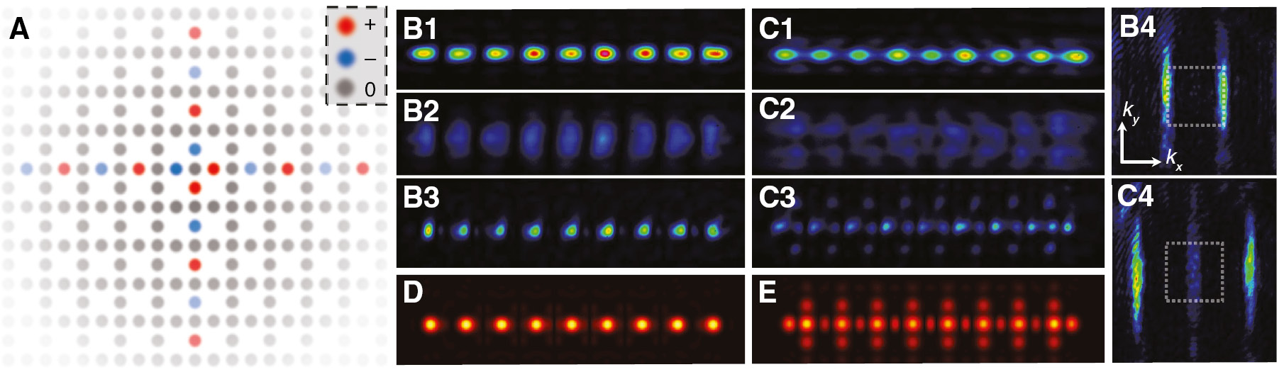 Figure 6: Demonstration of unconventional line states in a photonic Lieb lattice [81].(A) Schematic illustration of two flat-band NLSs in an infinite Lieb lattice. (B–E) Experimental results of line states in a finite Lieb lattice with bearded edge. (B1) Out-of-phase input line beam. (B2) Out-of-phase output without the lattice. (B3) Out-of-phase output through the lattice. (B4) Measured k-space spectrum of (B3), with a dashed square marking the first BZ. (C1–C4) The same as in (B1–B4) but the line beam is in-phase. (D, E) Numerical simulation results showing the out-of-phase line beam remains intact but the in-phase line deteriorates after propagating a long distance through the lattice.