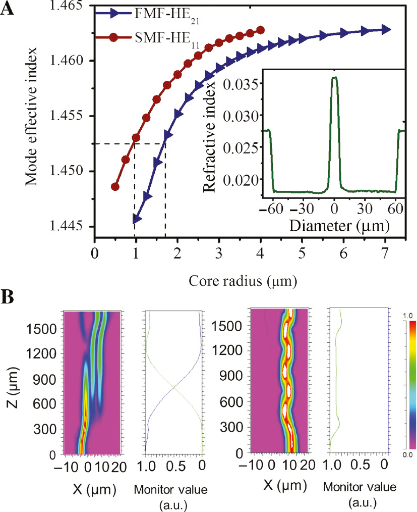 Figure 2: The numerical calculation and simulation of phase matching condition.(A) The mode effective index curves for the LP01 and LP11 modes vs. core radius at the wavelength of 660 nm. Inset: refractive-index distribution of the few-mode fiber (FMF). (B) Power exchanging curves in the coupling region. LP01 mode is lunched in the input single mode fiber (SMF) port (left) and input FMF port (right), the blue and green lines show the power of SMF and FMF, respectively.