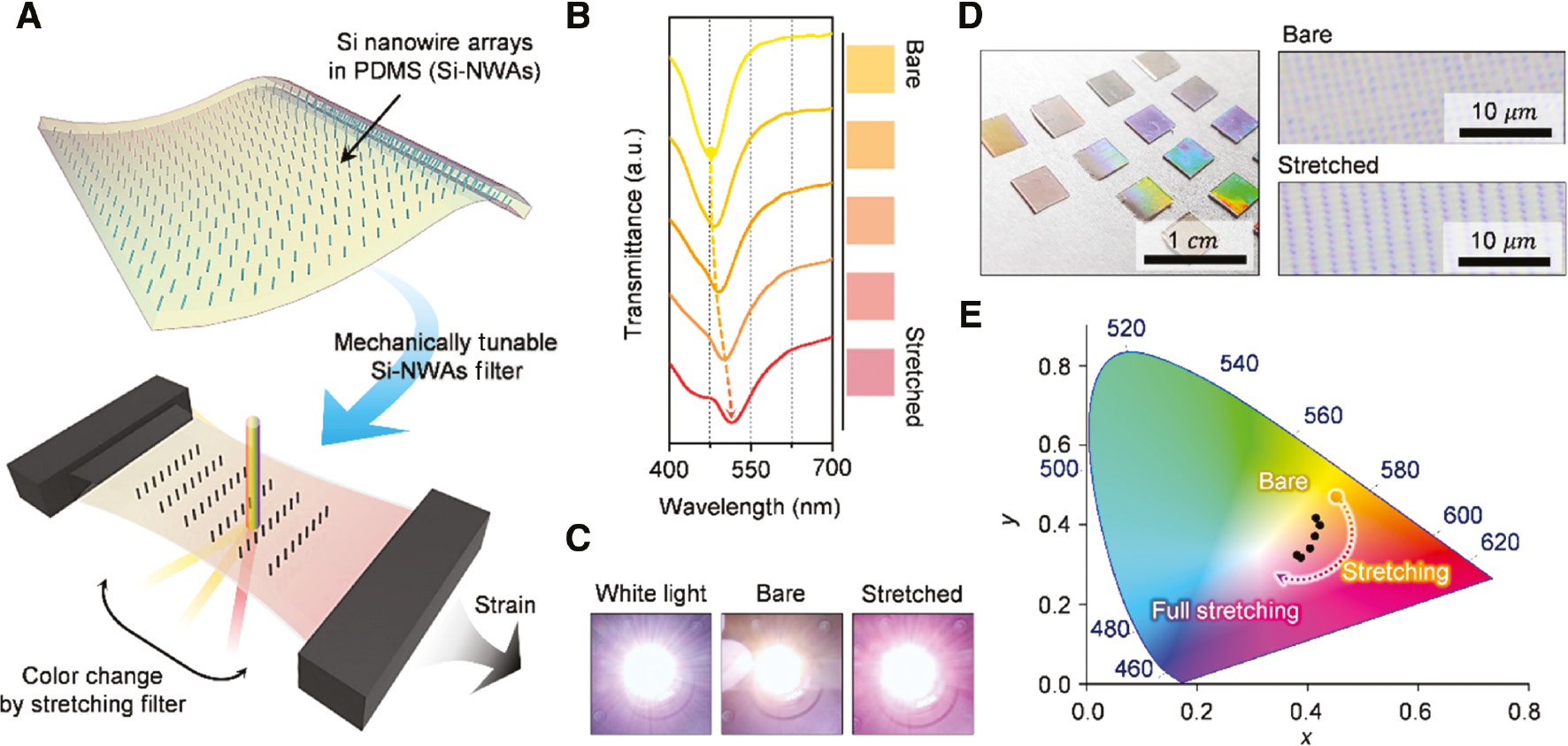 Figure 1: The mechanically tunable Si nanowire optical filter with spectral tunability.(A) Schematic illustration of the tunable nanowire color filter. (B) Transmittance curves of the Si-NWAs and color representation of the stretched Si-NWAs. (C) Tunable transmissive color filter properties comparing the bare and full stretching samples. (D) Photographs of the Si-NWAs with different periods and diameters (left), microscope images before and after stretching Si-NWAs (right). (E) The color representations of the bare and stretching samples.