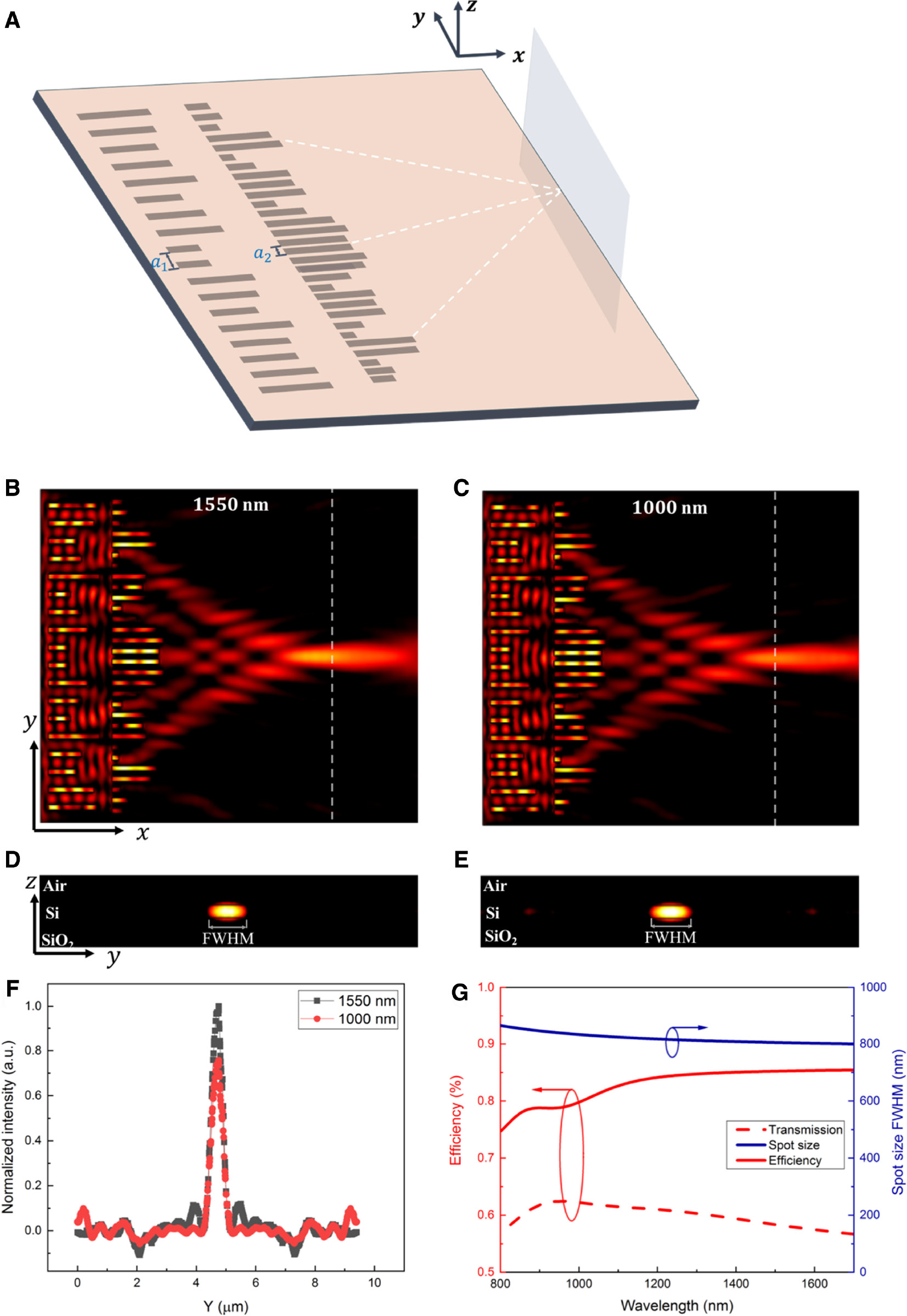 Figure 1: Simulation results of the proposed dispersionless metalens.(A) Schematic diagram of the dispersionless metalens. (B and C) |Ey|2, in-plane (x-y plane), light distribution of the proposed dispersionless metalens at wavelength of 1550 and 1000 nm, respectively. The white line shows the focal plane. (D and E) Cross-section (y-z plane) view of light distribution at the focal plane (x=8 μm) with wavelength of 1550 and 1000 nm, respectively. (F) Spatial distribution curve of light intensity along the y-direction at the focal plane under dual wavelengths. (G) Focusing efficiency, transmission, and spot size of the metalens over the wavelength range of 900 nm.